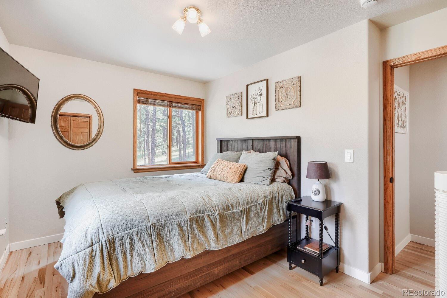 MLS Image #21 for 715  mockingbird trail,bailey, Colorado