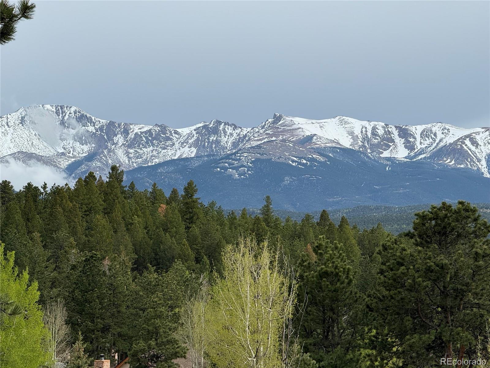 MLS Image #3 for 910  spacious skies drive,woodland park, Colorado