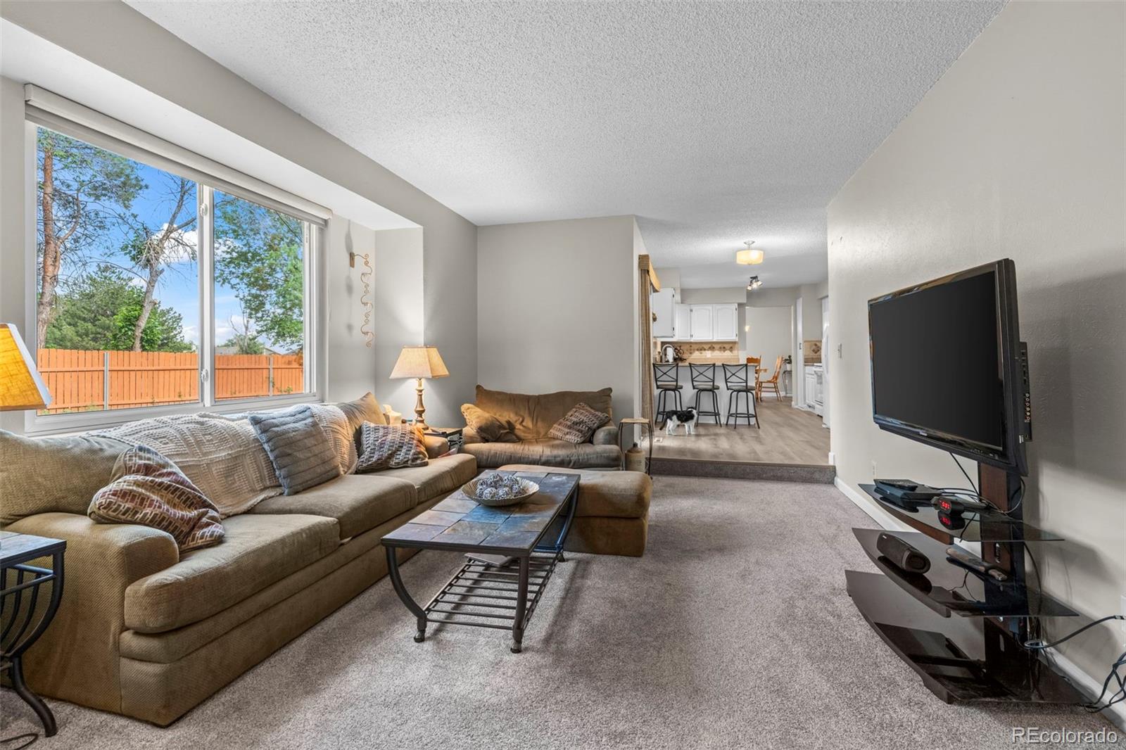 MLS Image #7 for 12820  cherry way,thornton, Colorado