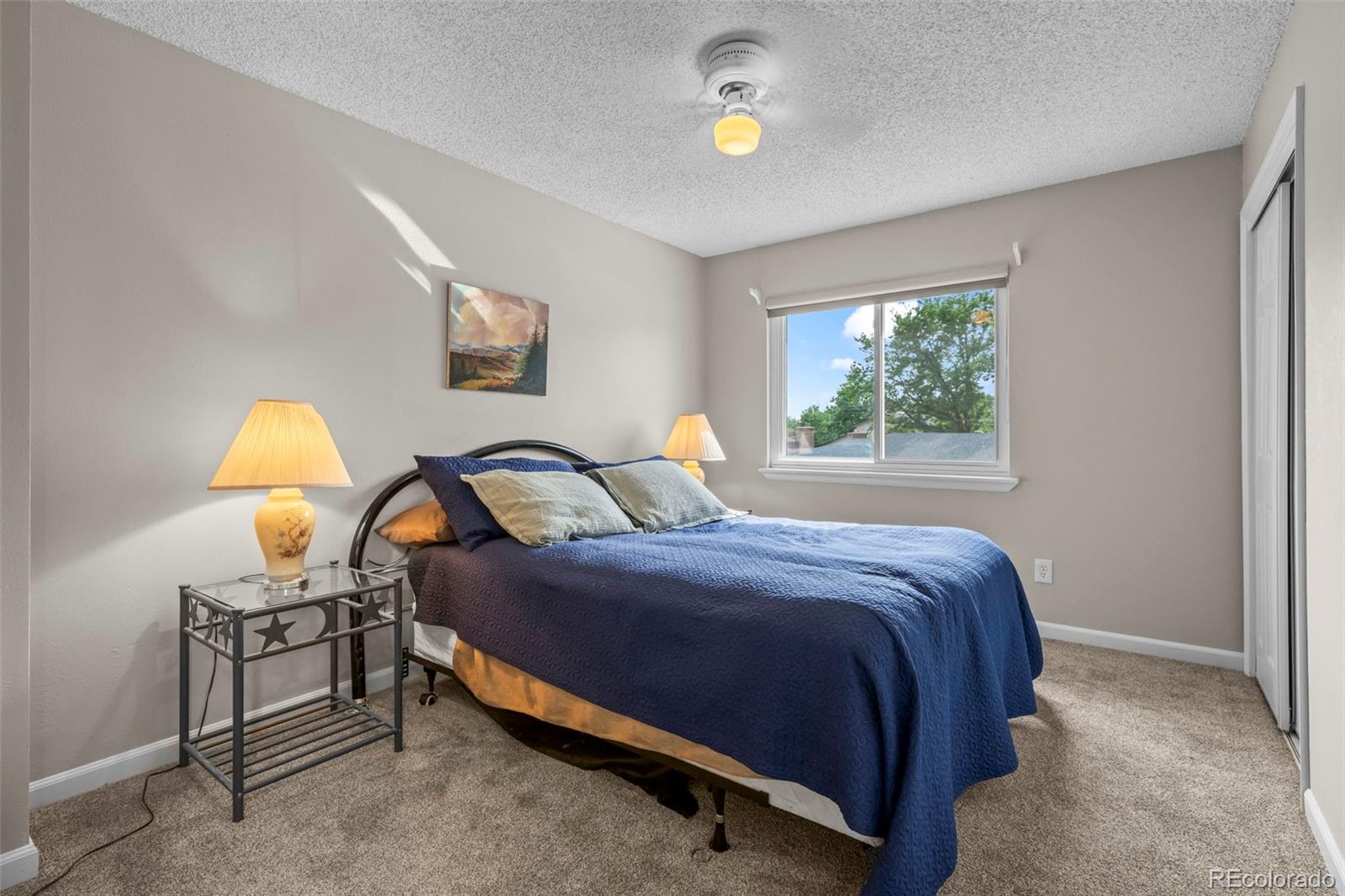 MLS Image #9 for 12820  cherry way,thornton, Colorado