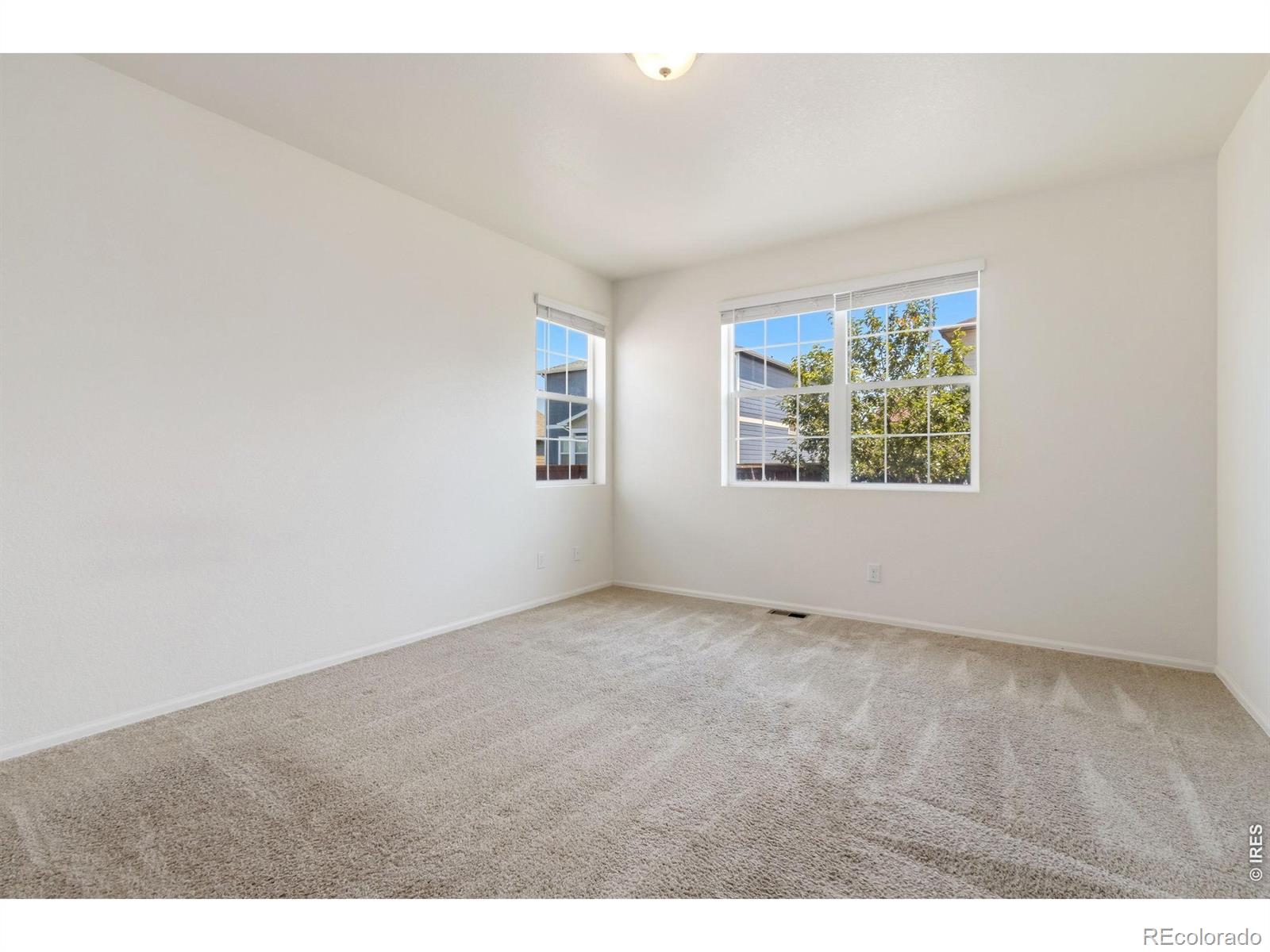 MLS Image #10 for 1983  floret drive,windsor, Colorado