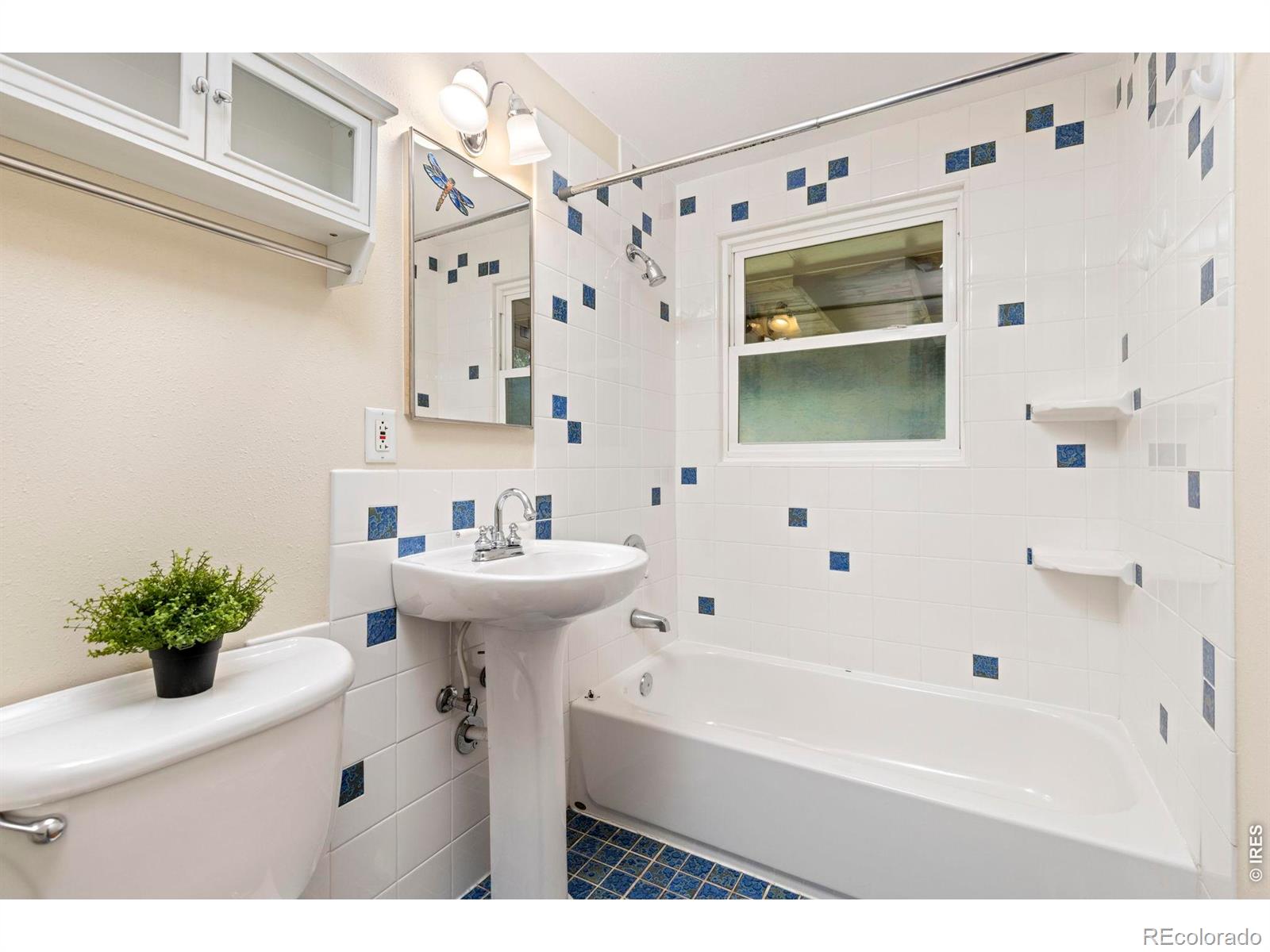 MLS Image #20 for 1224  aspen street,longmont, Colorado