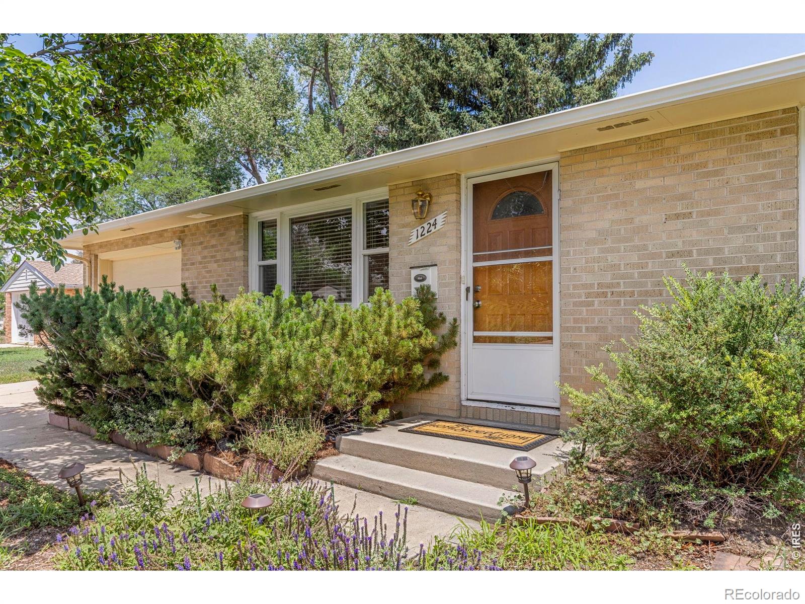 MLS Image #3 for 1224  aspen street,longmont, Colorado