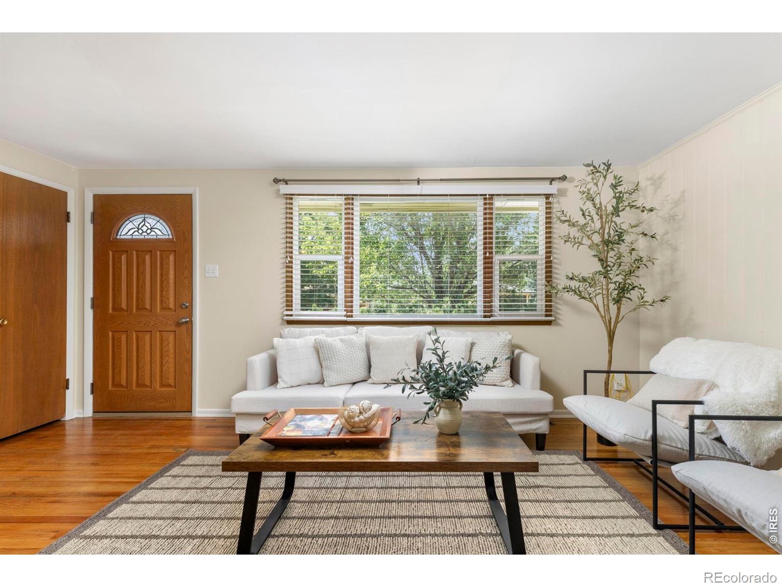MLS Image #5 for 1224  aspen street,longmont, Colorado