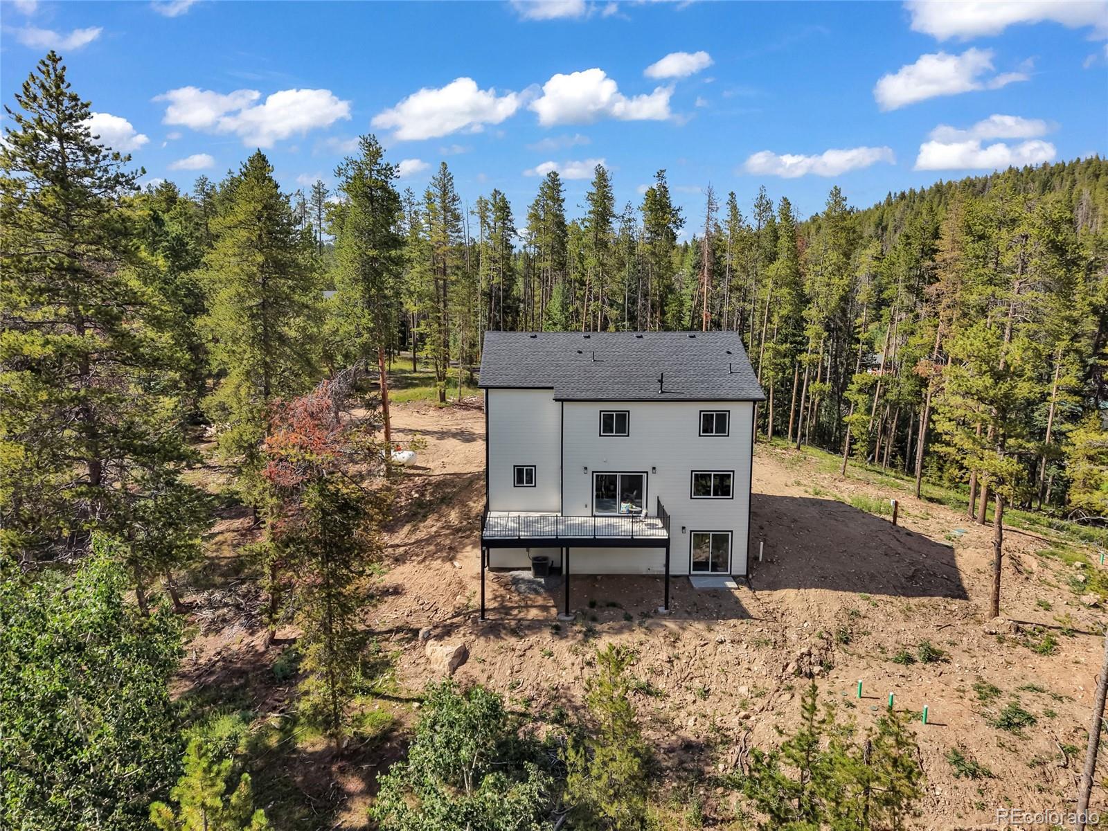 MLS Image #3 for 10997  vickery avenue,conifer, Colorado