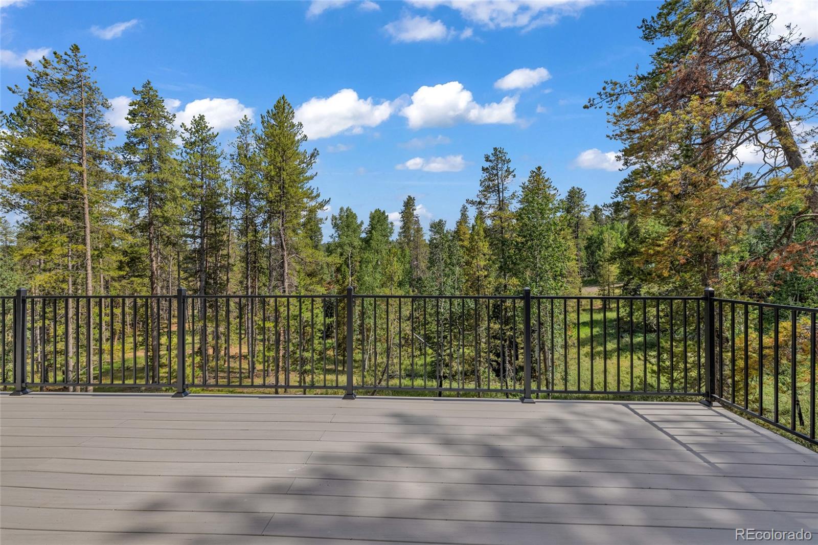 MLS Image #39 for 10997  vickery avenue,conifer, Colorado