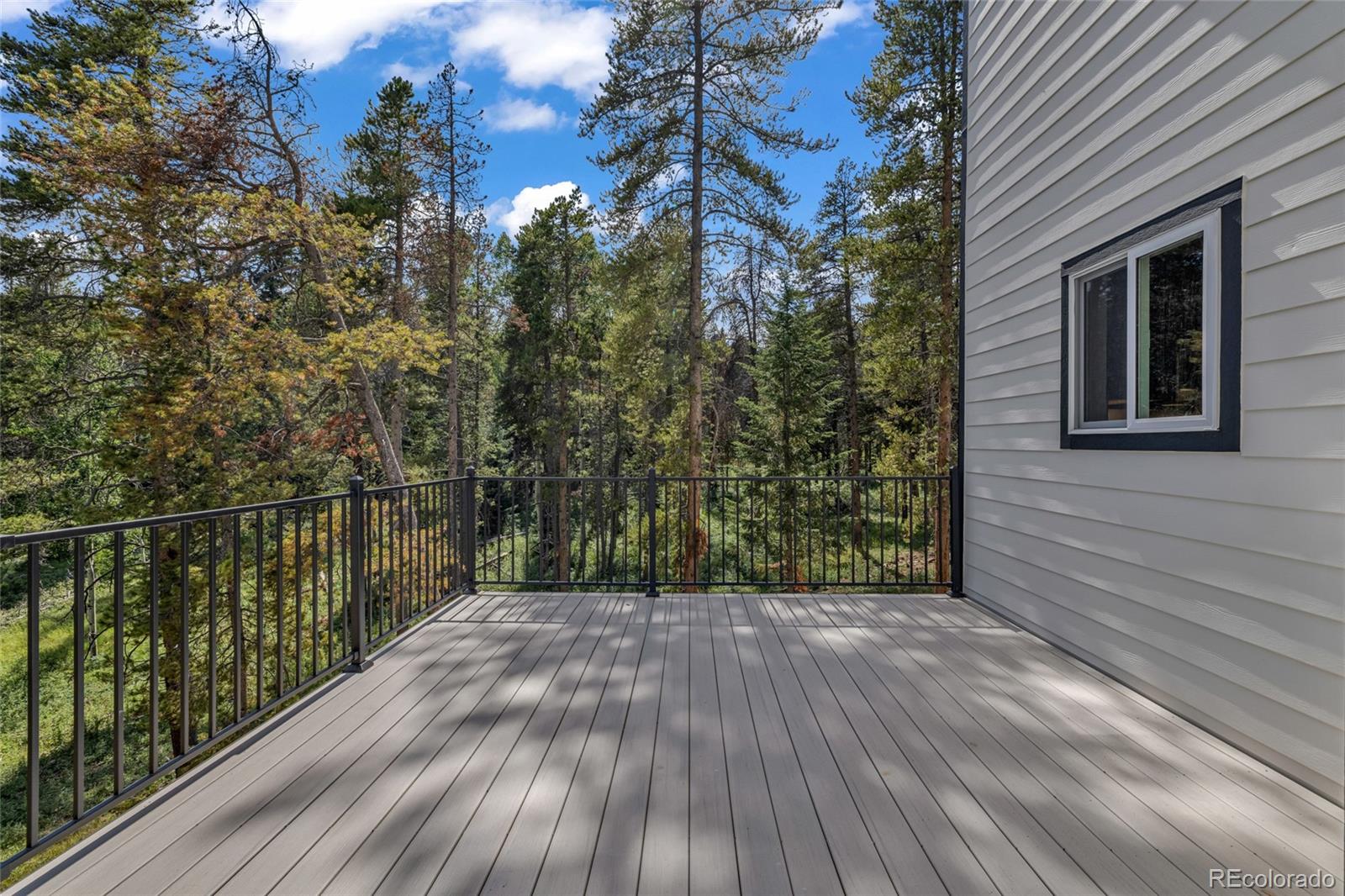 MLS Image #40 for 10997  vickery avenue,conifer, Colorado