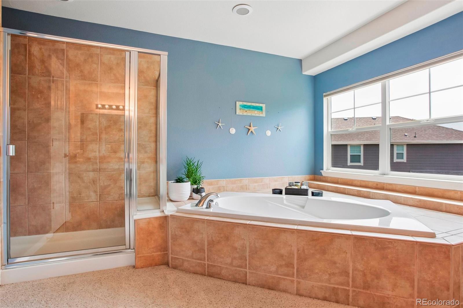 MLS Image #15 for 14374  blue vista way,broomfield, Colorado