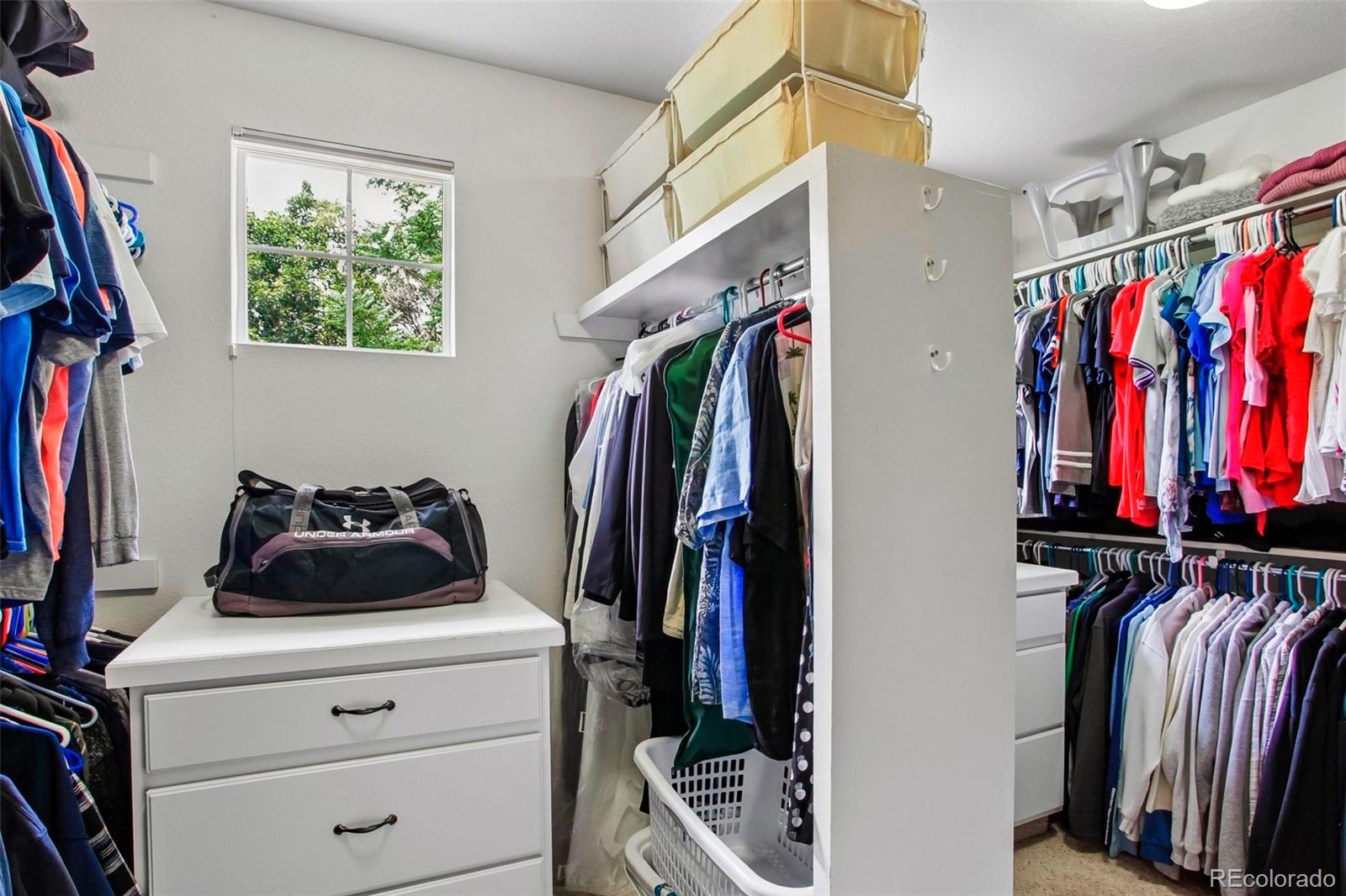 MLS Image #16 for 14374  blue vista way,broomfield, Colorado