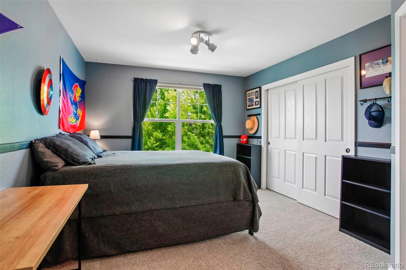 MLS Image #17 for 14374  blue vista way,broomfield, Colorado