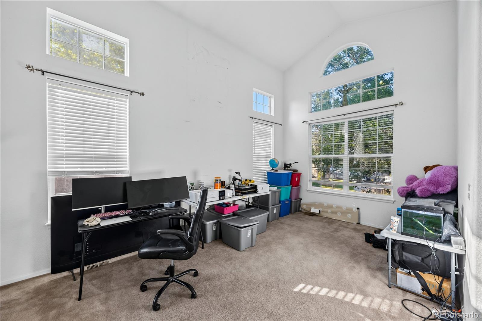 MLS Image #5 for 1142 e 100th place,thornton, Colorado