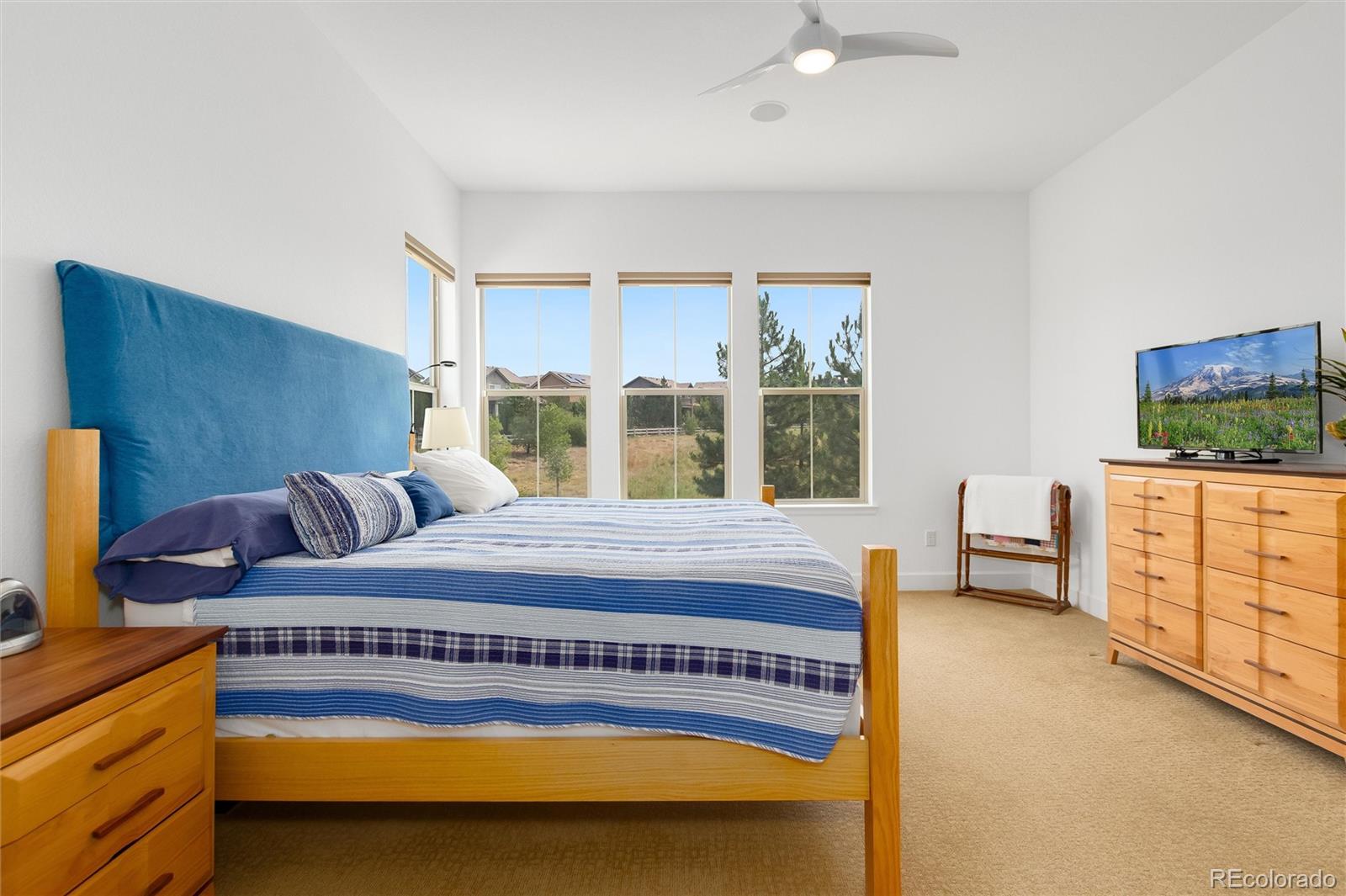 MLS Image #17 for 631  red spruce drive,littleton, Colorado