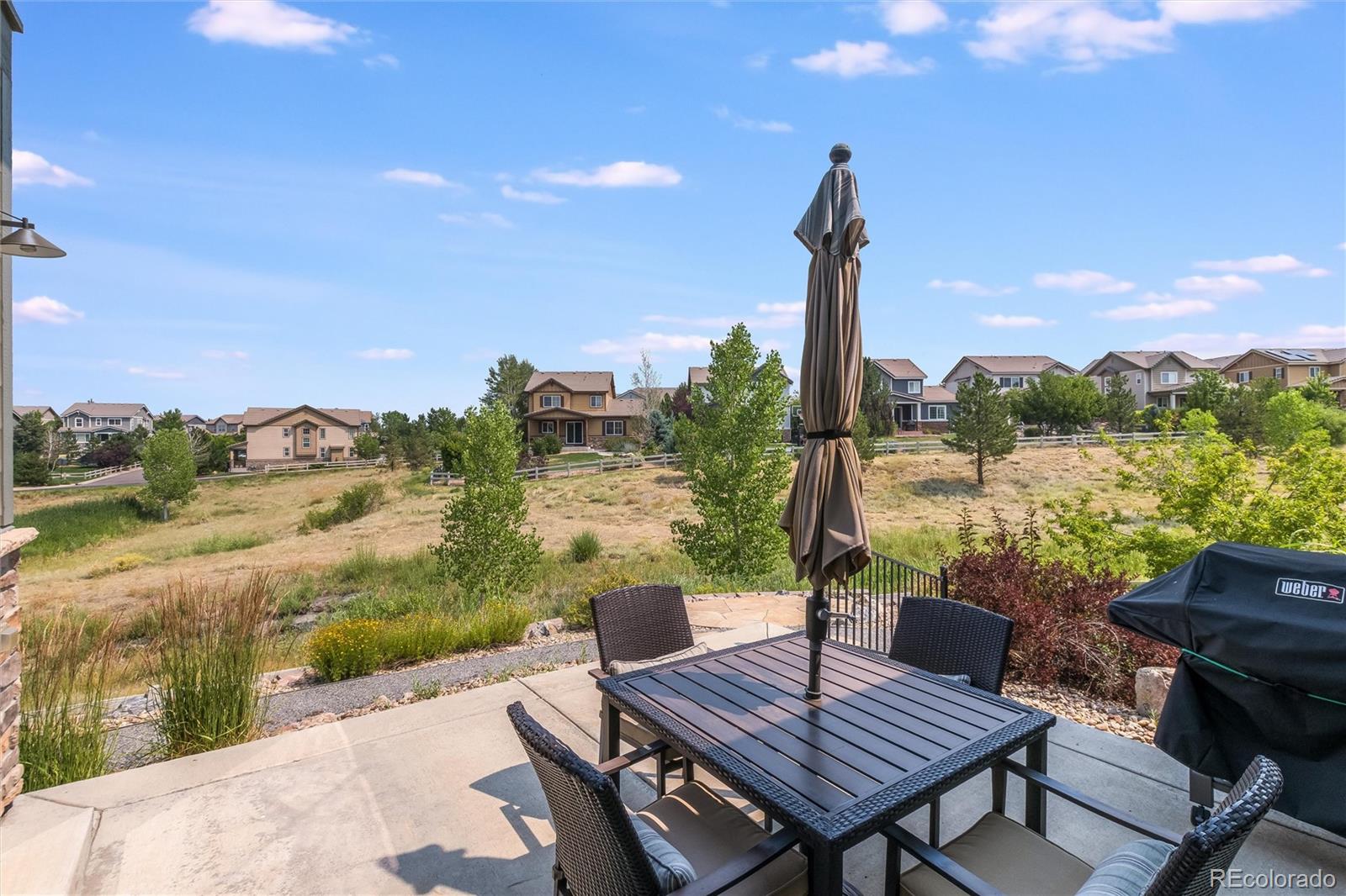 MLS Image #39 for 631  red spruce drive,littleton, Colorado