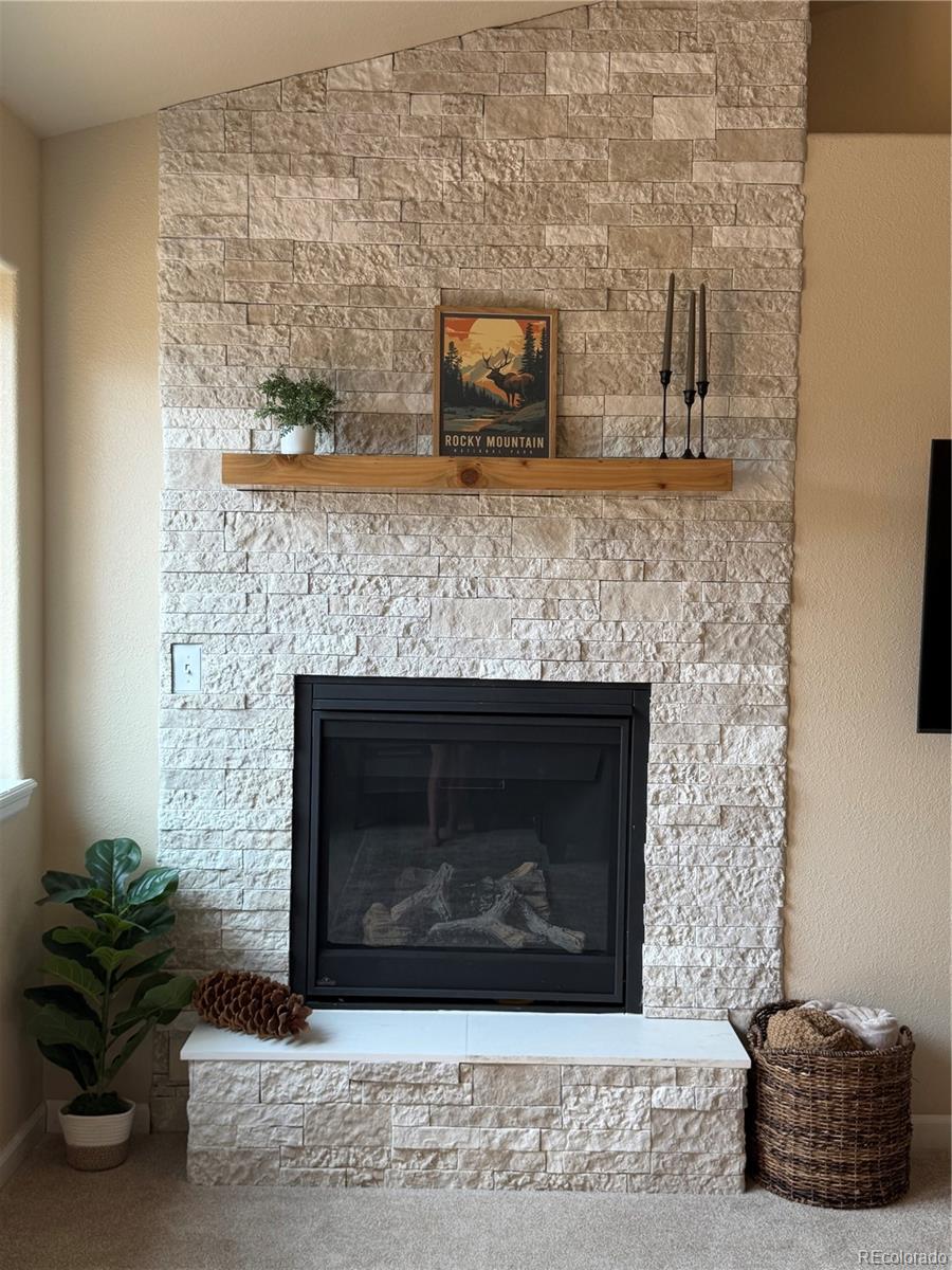 MLS Image #10 for 303  virginia road,bailey, Colorado