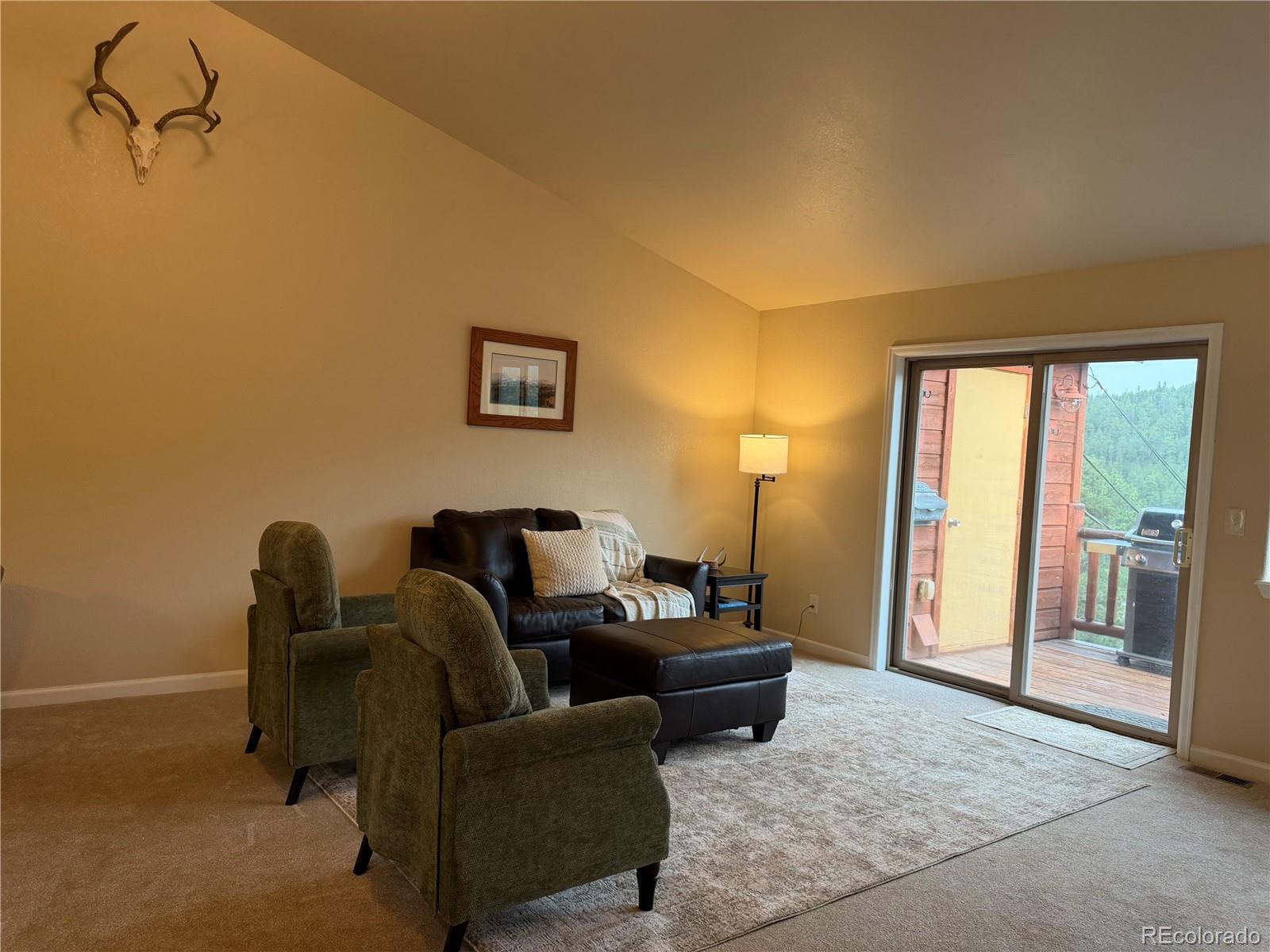 MLS Image #12 for 303  virginia road,bailey, Colorado