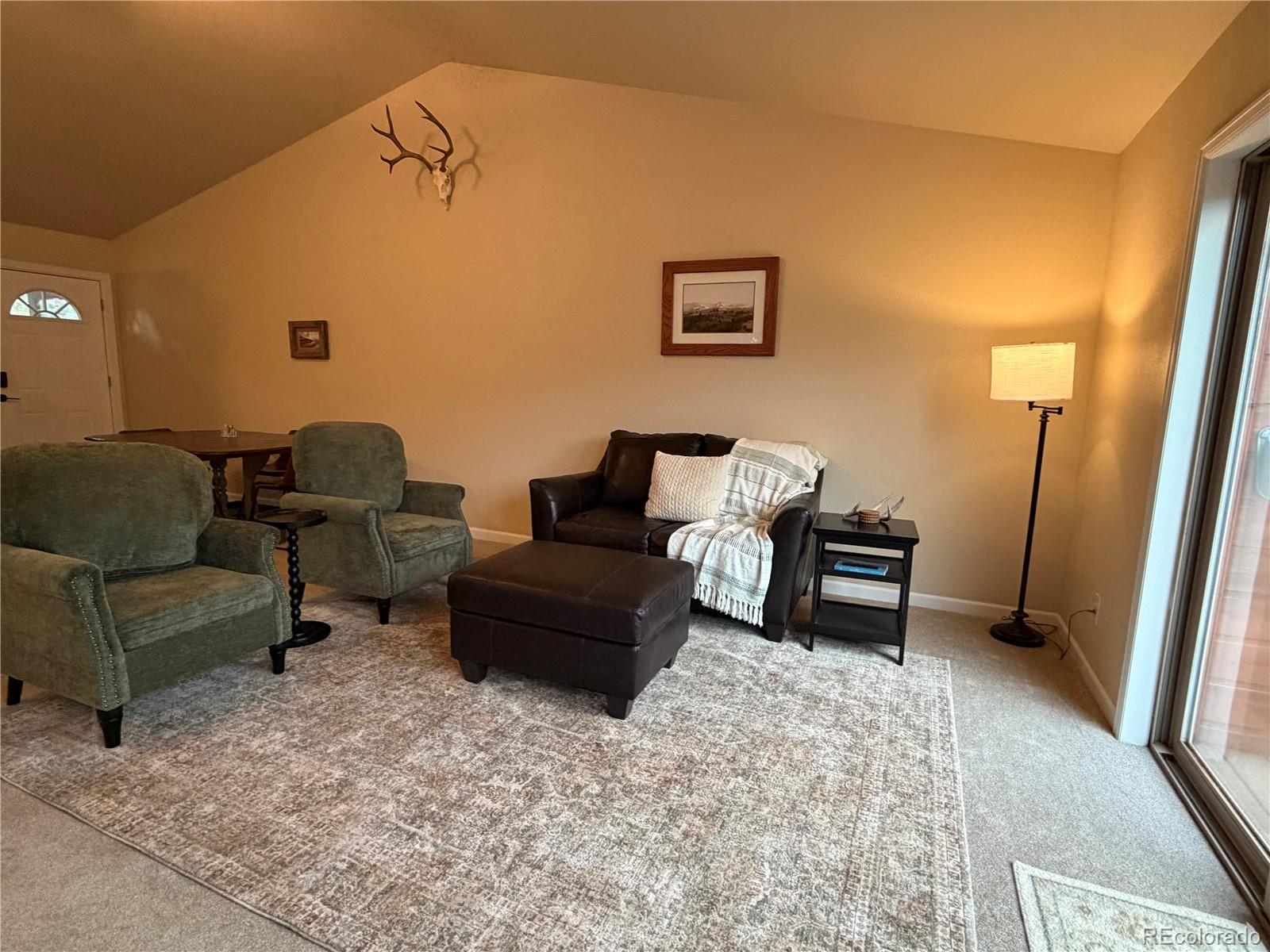 MLS Image #13 for 303  virginia road,bailey, Colorado