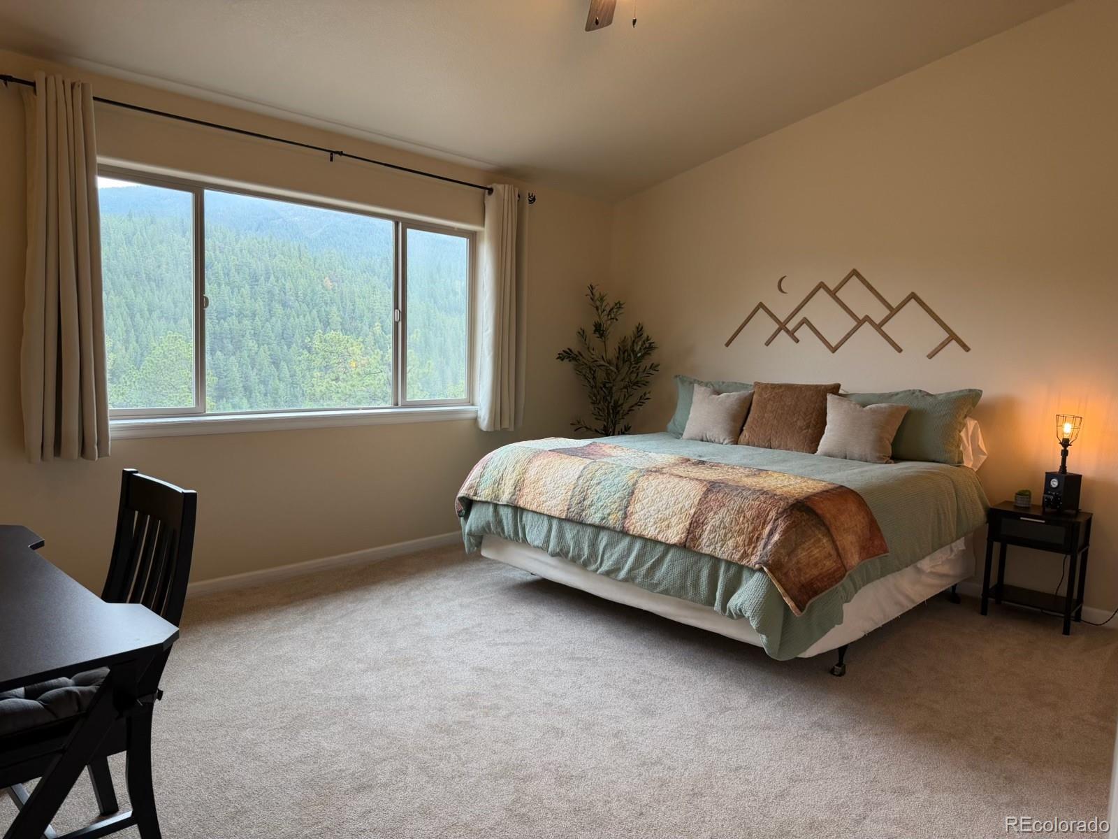 MLS Image #15 for 303  virginia road,bailey, Colorado