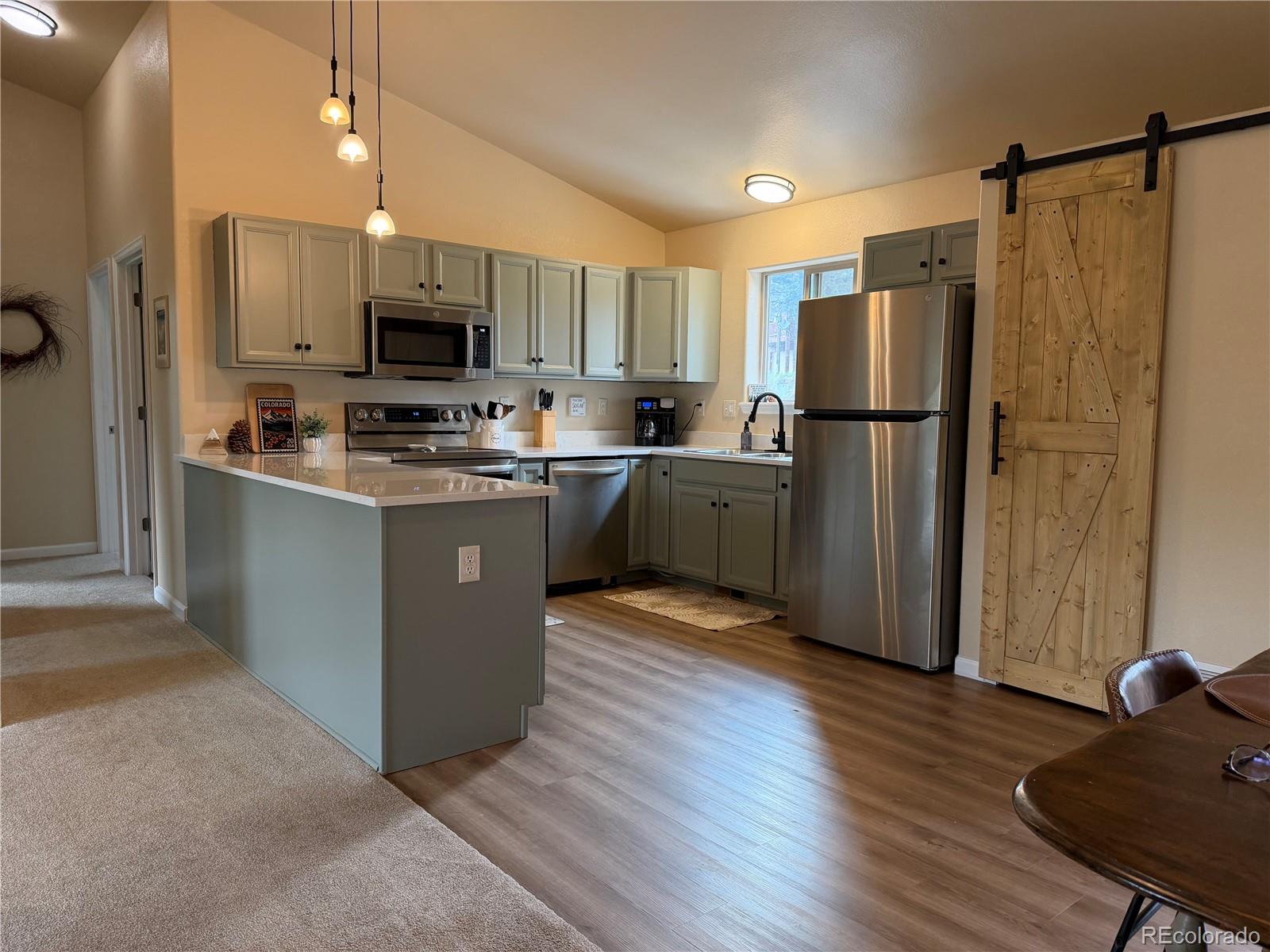 MLS Image #2 for 303  virginia road,bailey, Colorado
