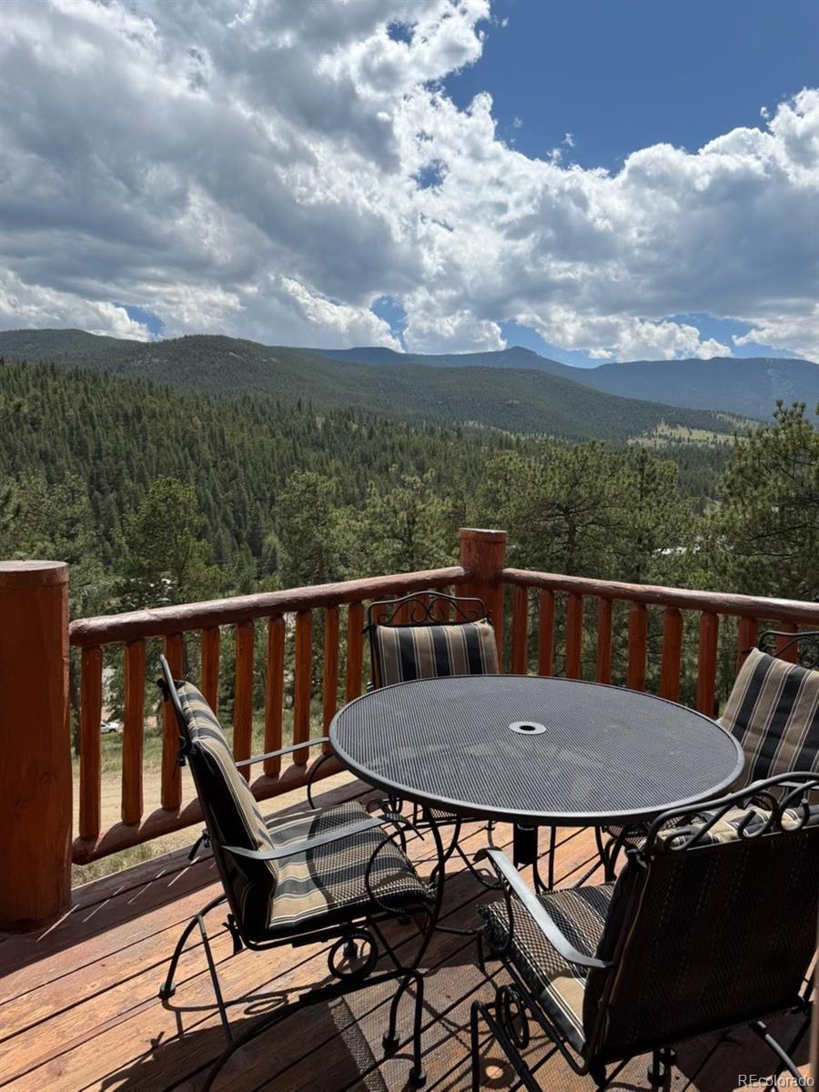 MLS Image #26 for 303  virginia road,bailey, Colorado