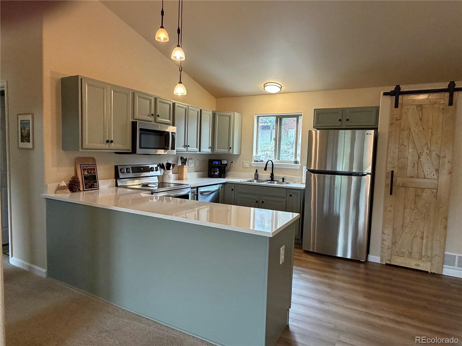 MLS Image #3 for 303  virginia road,bailey, Colorado