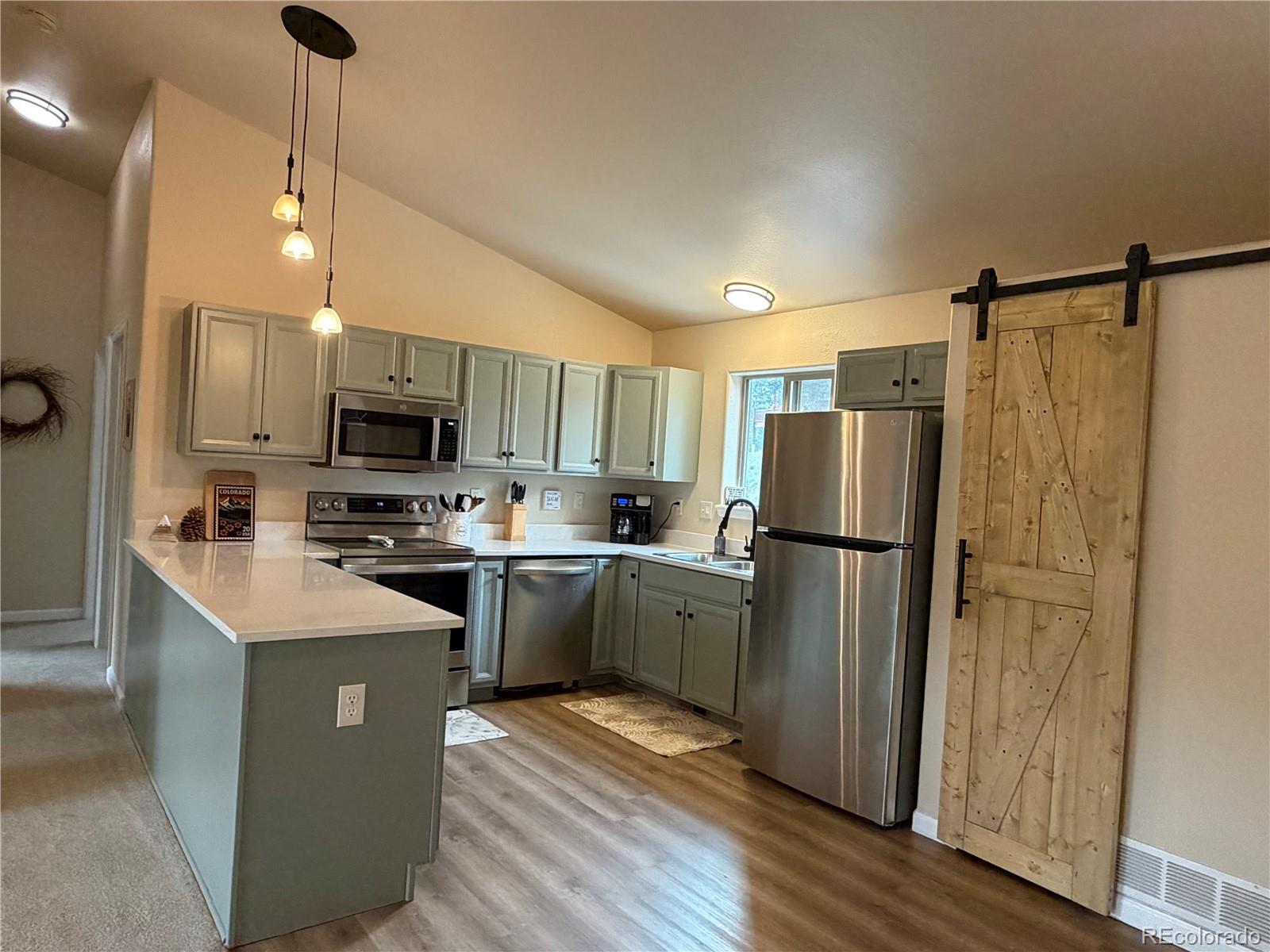 MLS Image #5 for 303  virginia road,bailey, Colorado