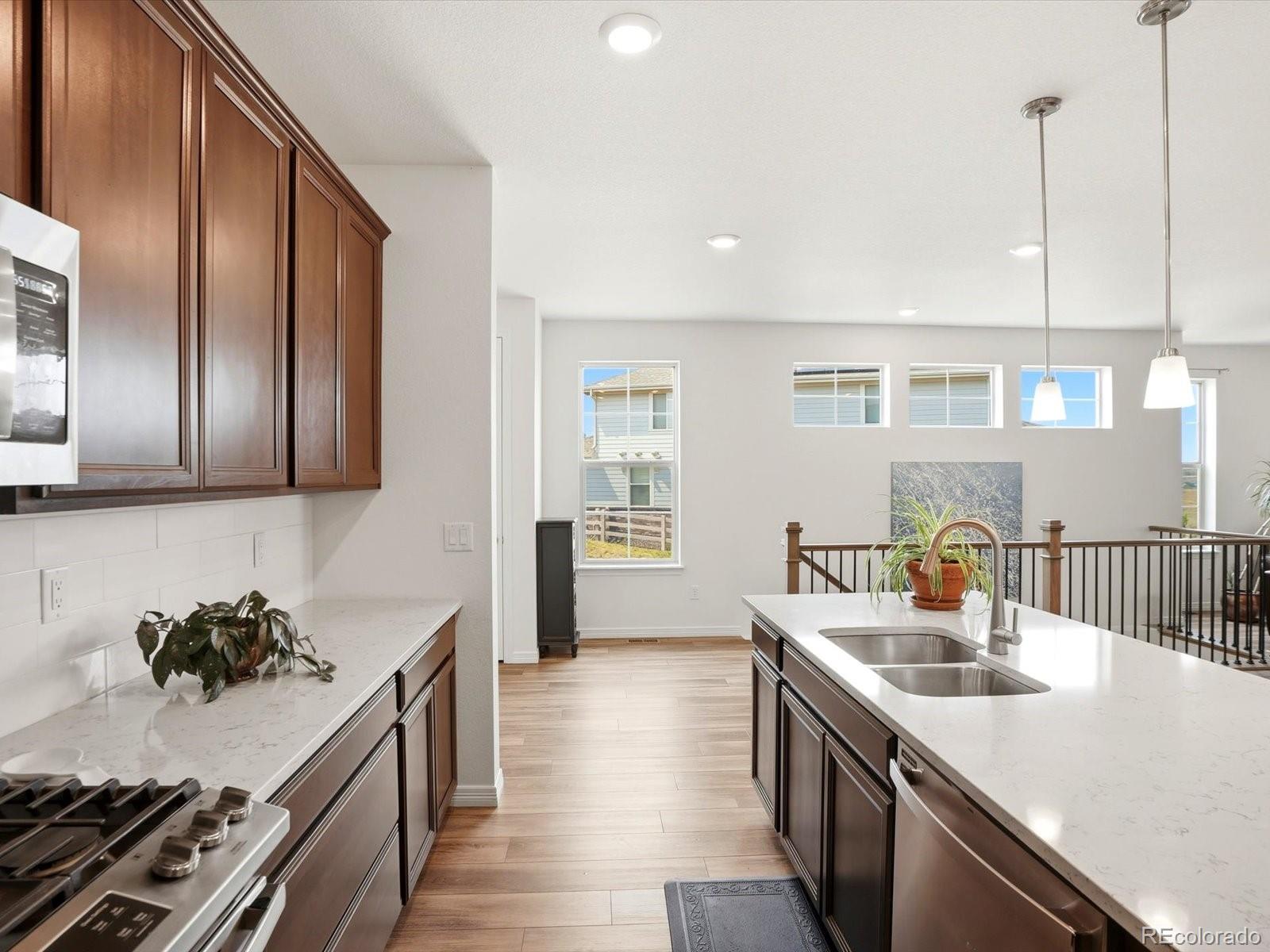 MLS Image #6 for 9378  fraser river street,littleton, Colorado