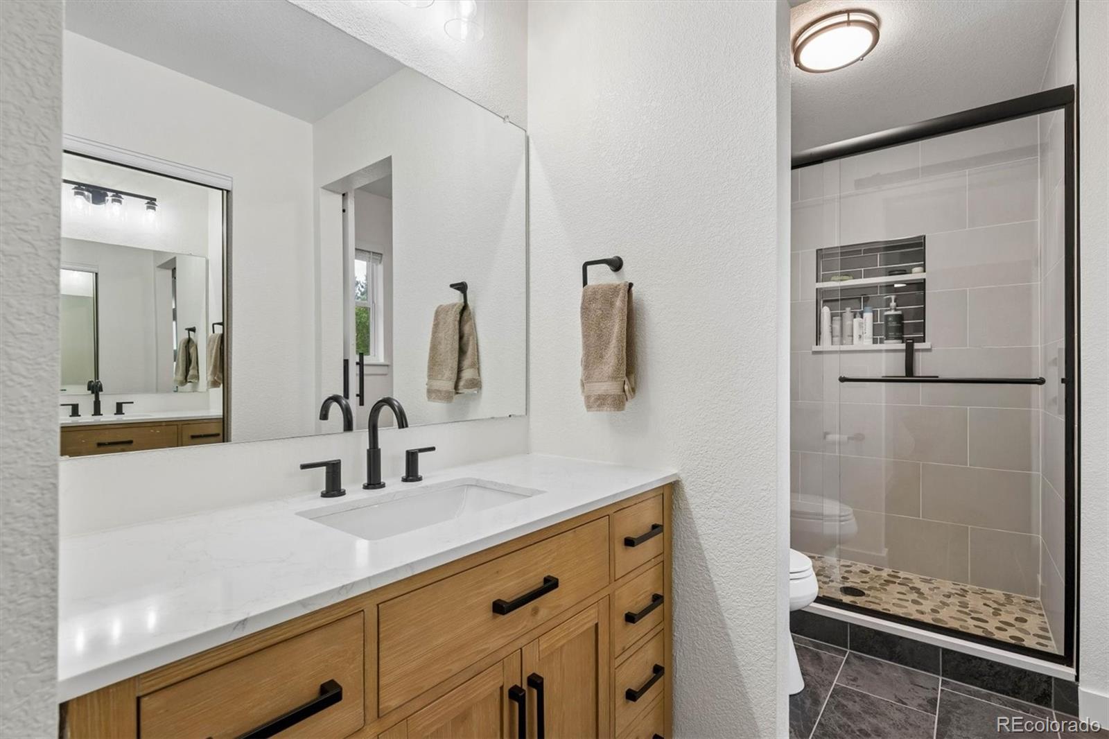 MLS Image #22 for 825  northridge road,highlands ranch, Colorado