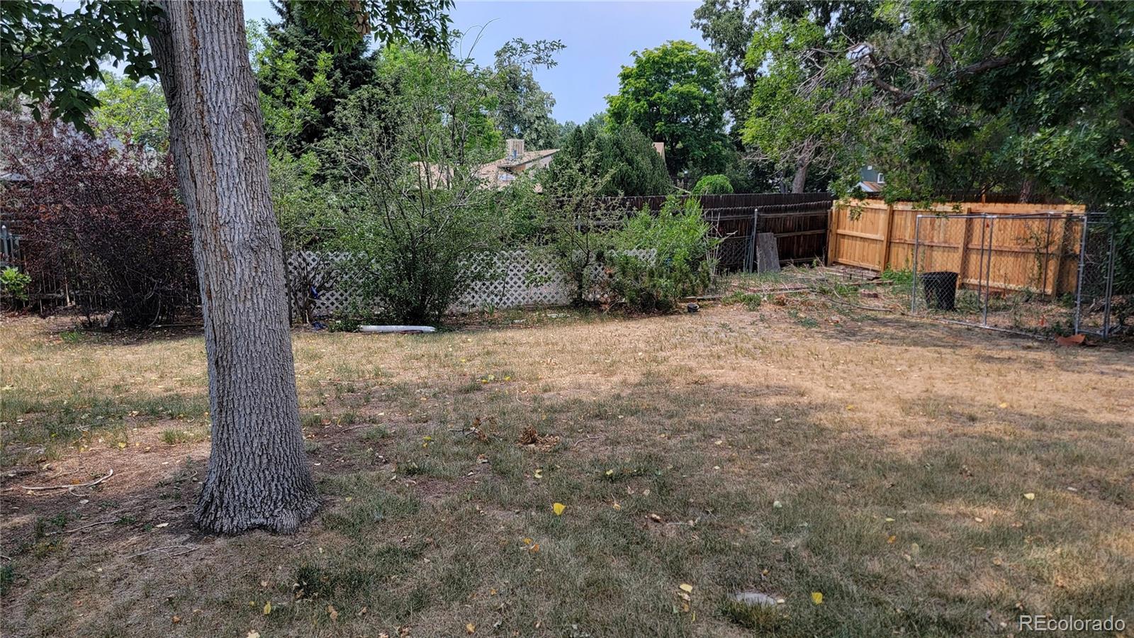 MLS Image #4 for 8443  gray court,arvada, Colorado