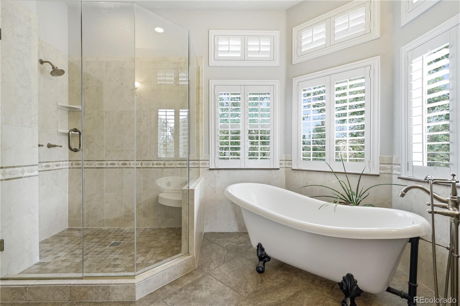 MLS Image #22 for 3807  running deer drive,castle rock, Colorado