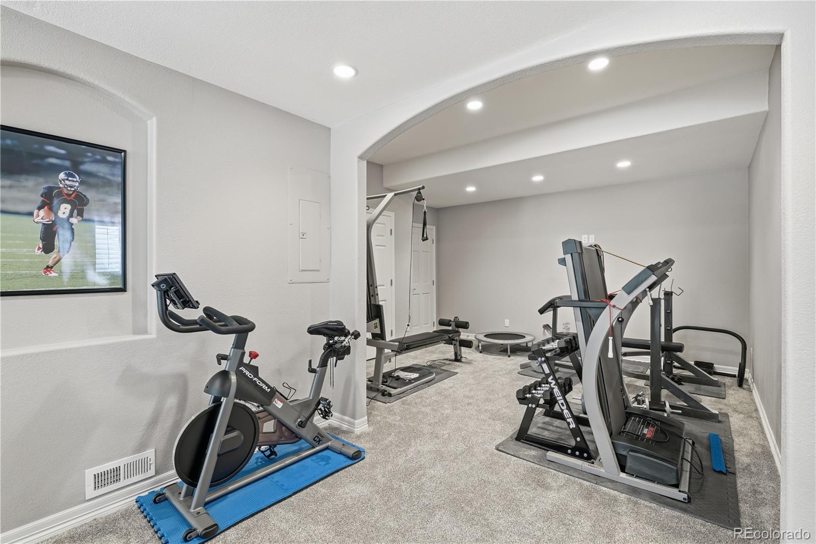 MLS Image #24 for 3807  running deer drive,castle rock, Colorado