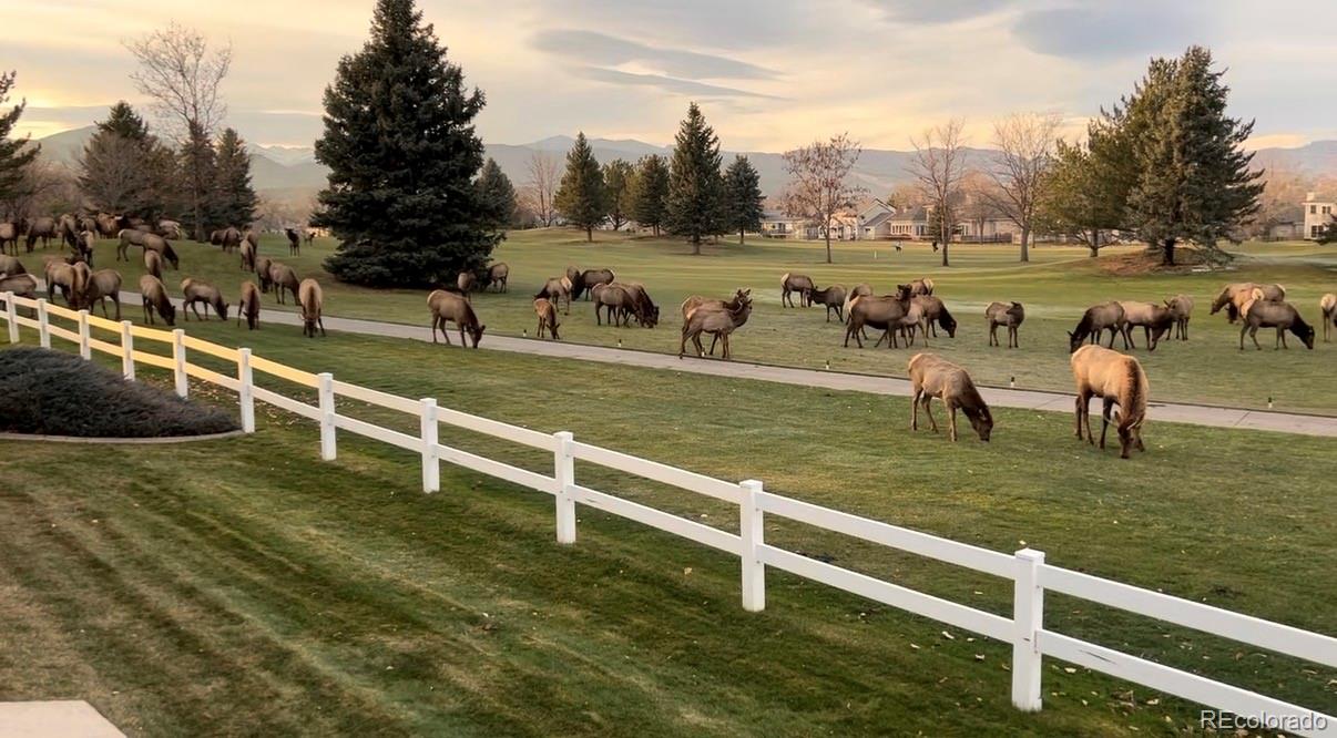 MLS Image #33 for 451  clubhouse court,loveland, Colorado