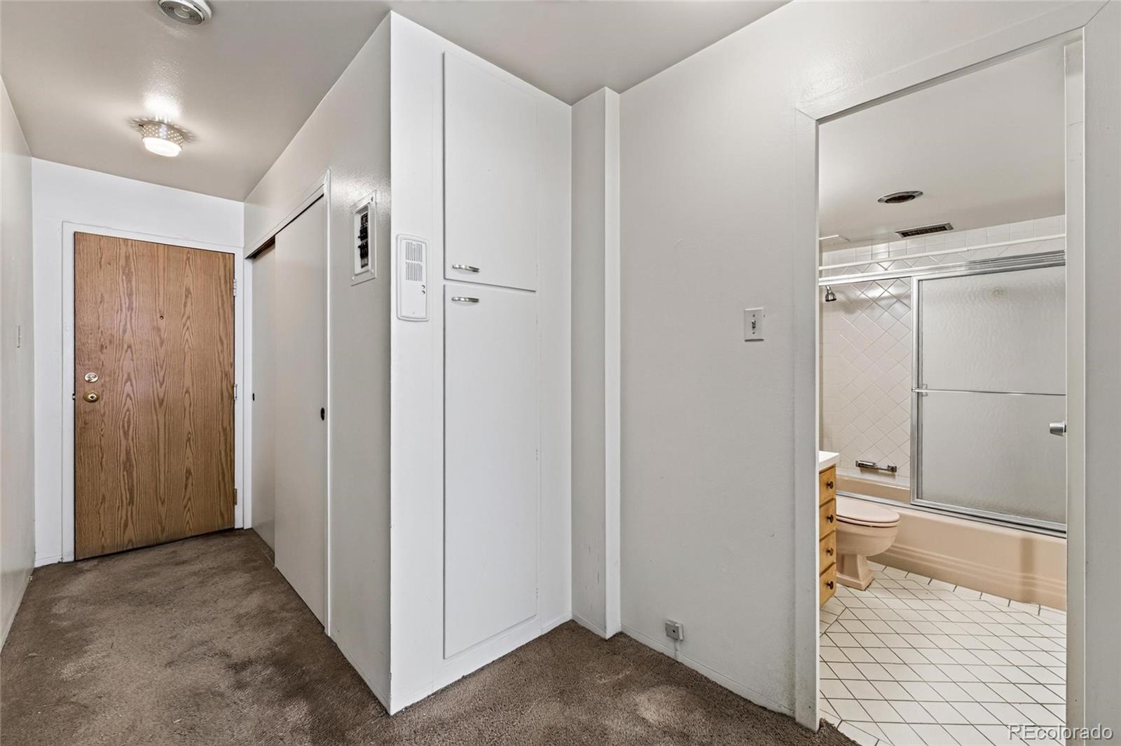 MLS Image #4 for 1223  race street,denver, Colorado