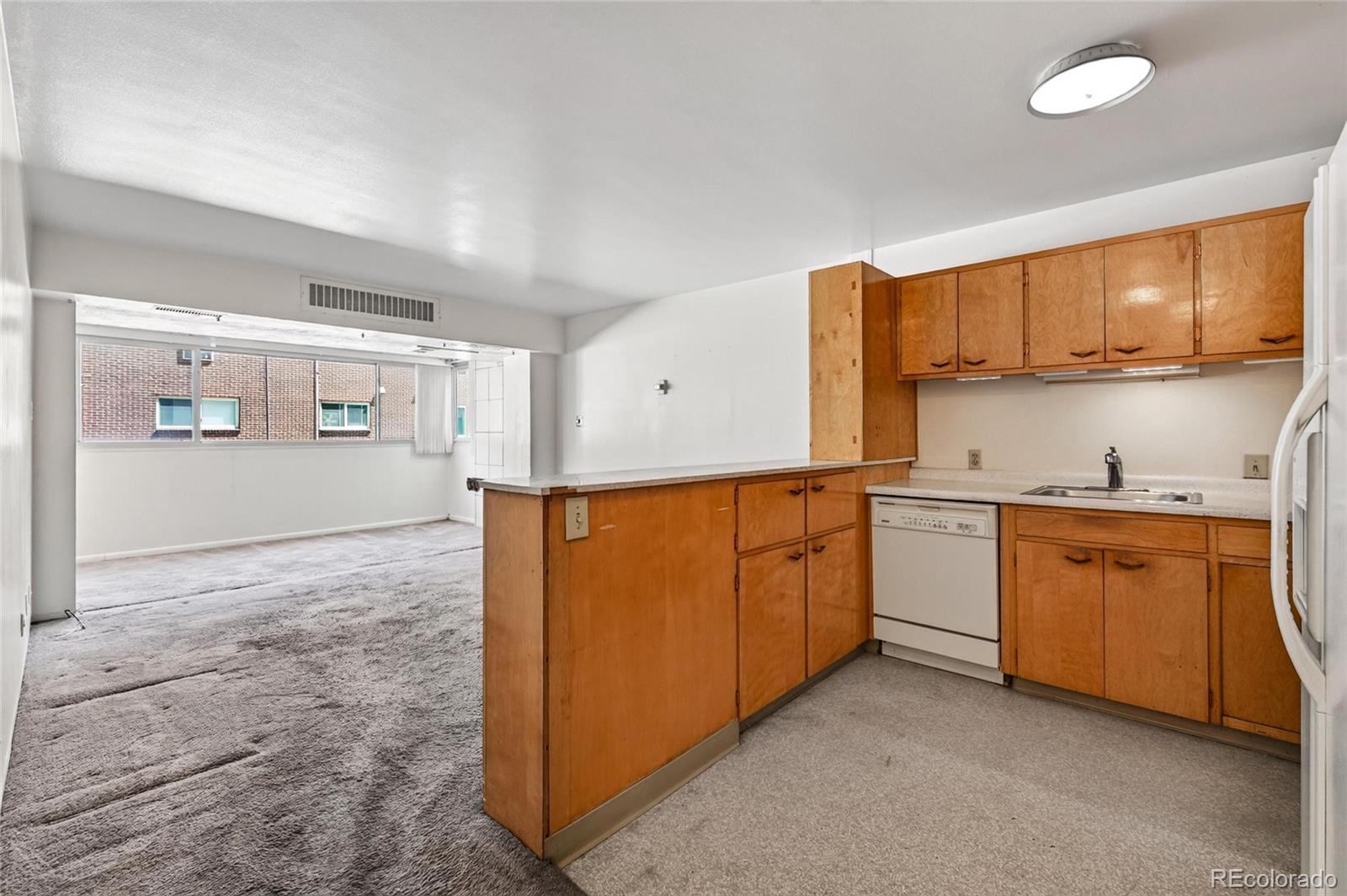MLS Image #5 for 1223  race street,denver, Colorado
