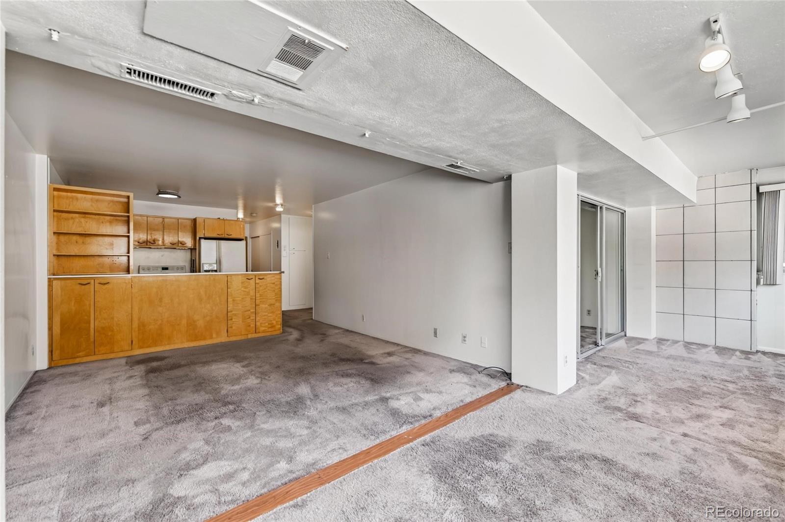 MLS Image #7 for 1223  race street,denver, Colorado