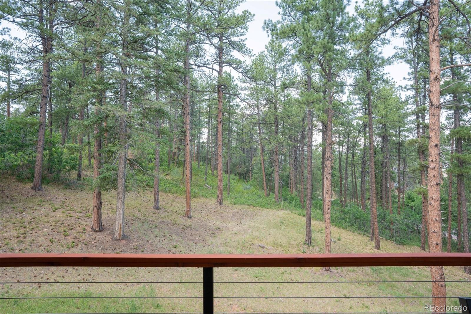 MLS Image #29 for 4579  cheyenne drive,larkspur, Colorado