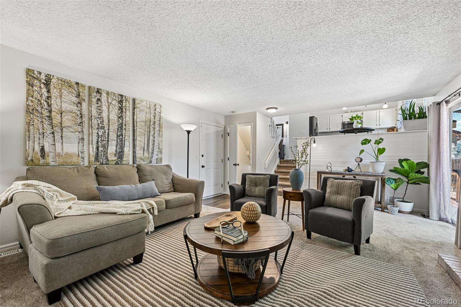 MLS Image #16 for 3131 s princess circle,broomfield, Colorado