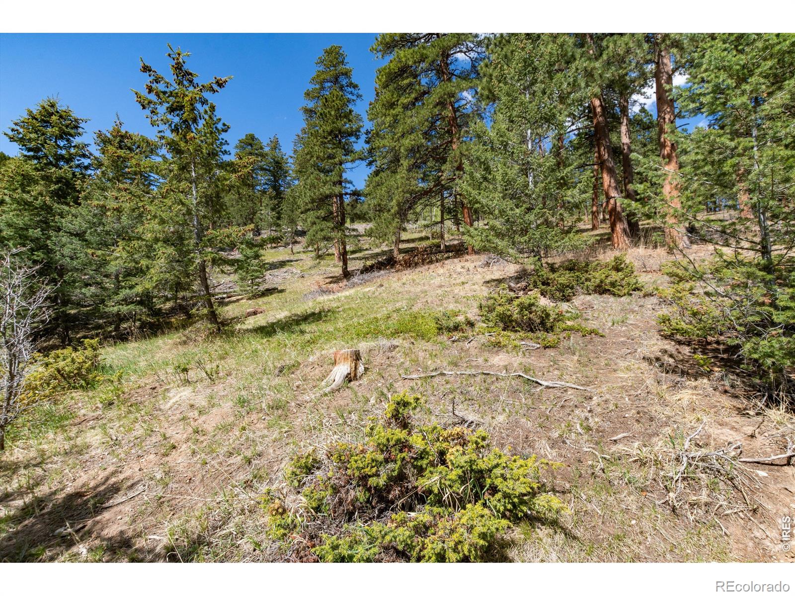 MLS Image #27 for 9701  city view drive,morrison, Colorado