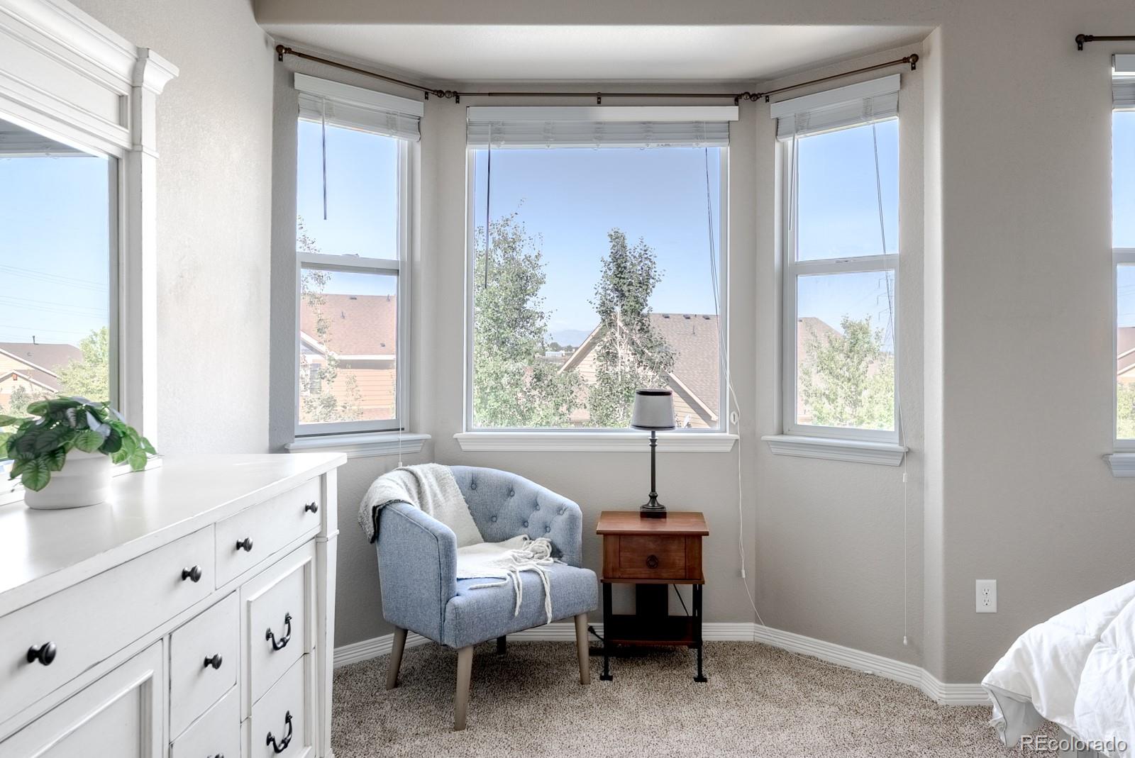 MLS Image #19 for 10293  nucla street,commerce city, Colorado