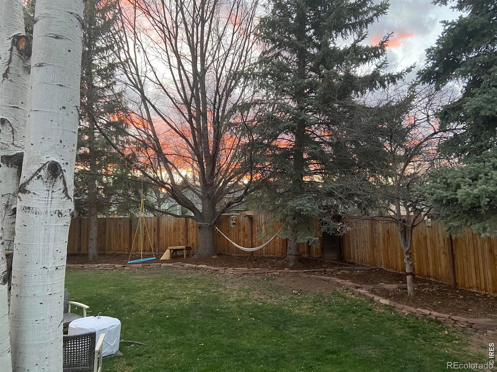 MLS Image #8 for 984  cleveland court,louisville, Colorado