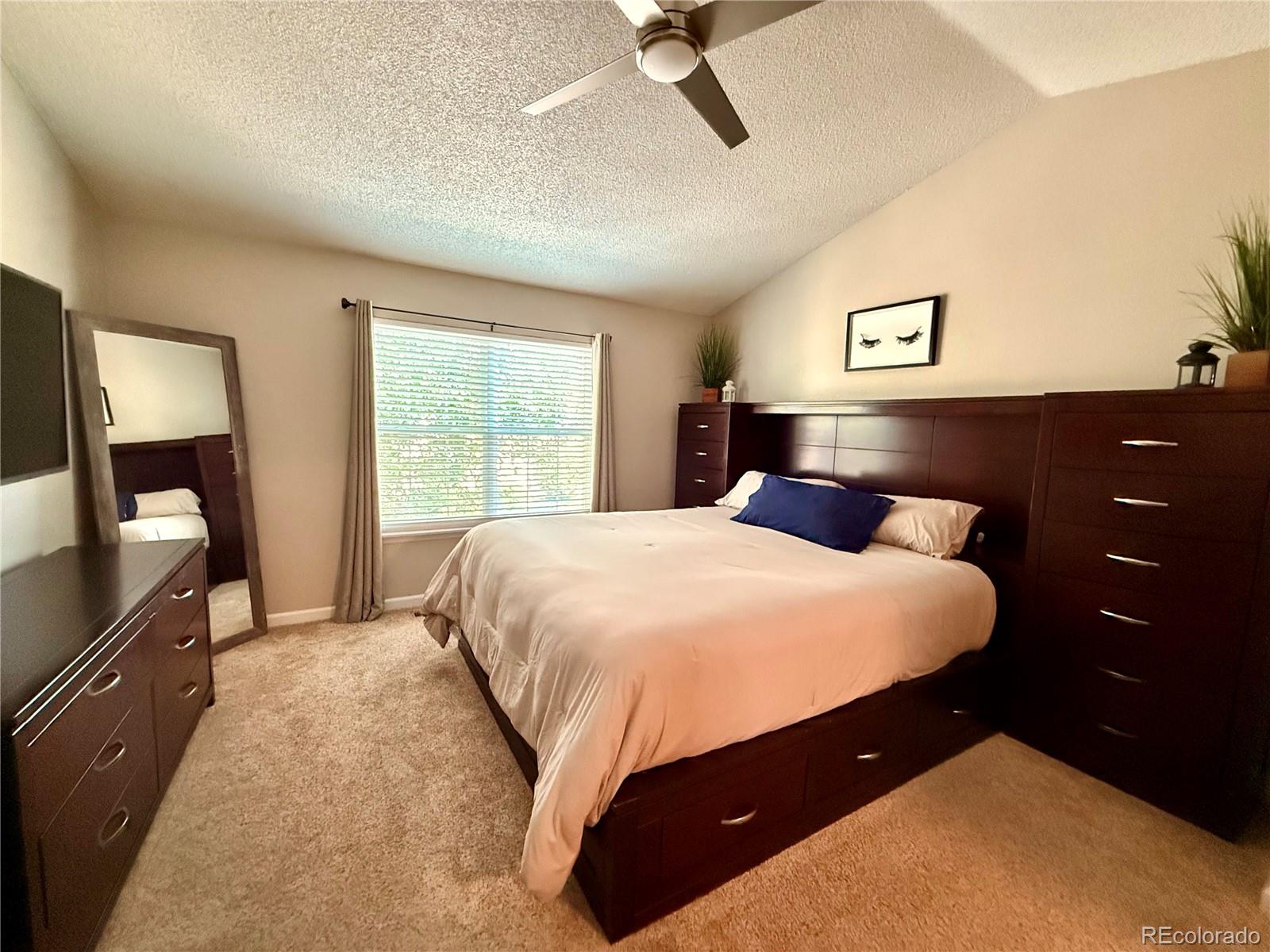 MLS Image #13 for 10850  summerset way,parker, Colorado