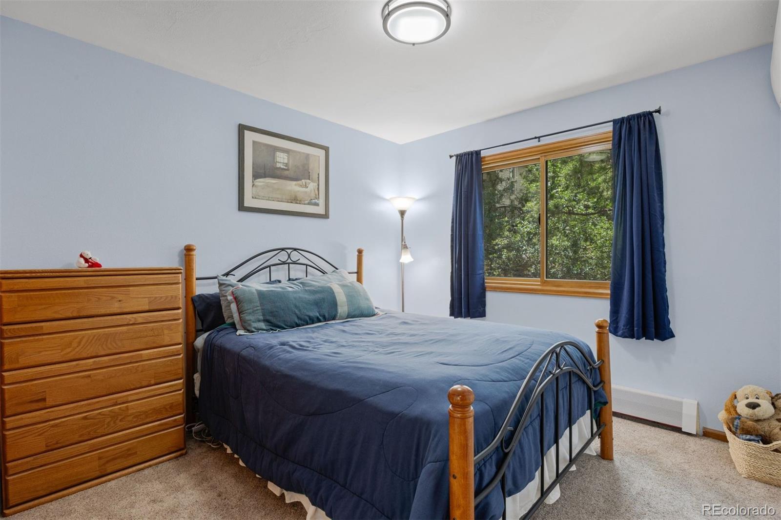 MLS Image #10 for 5811  irish pat murphy drive,parker, Colorado