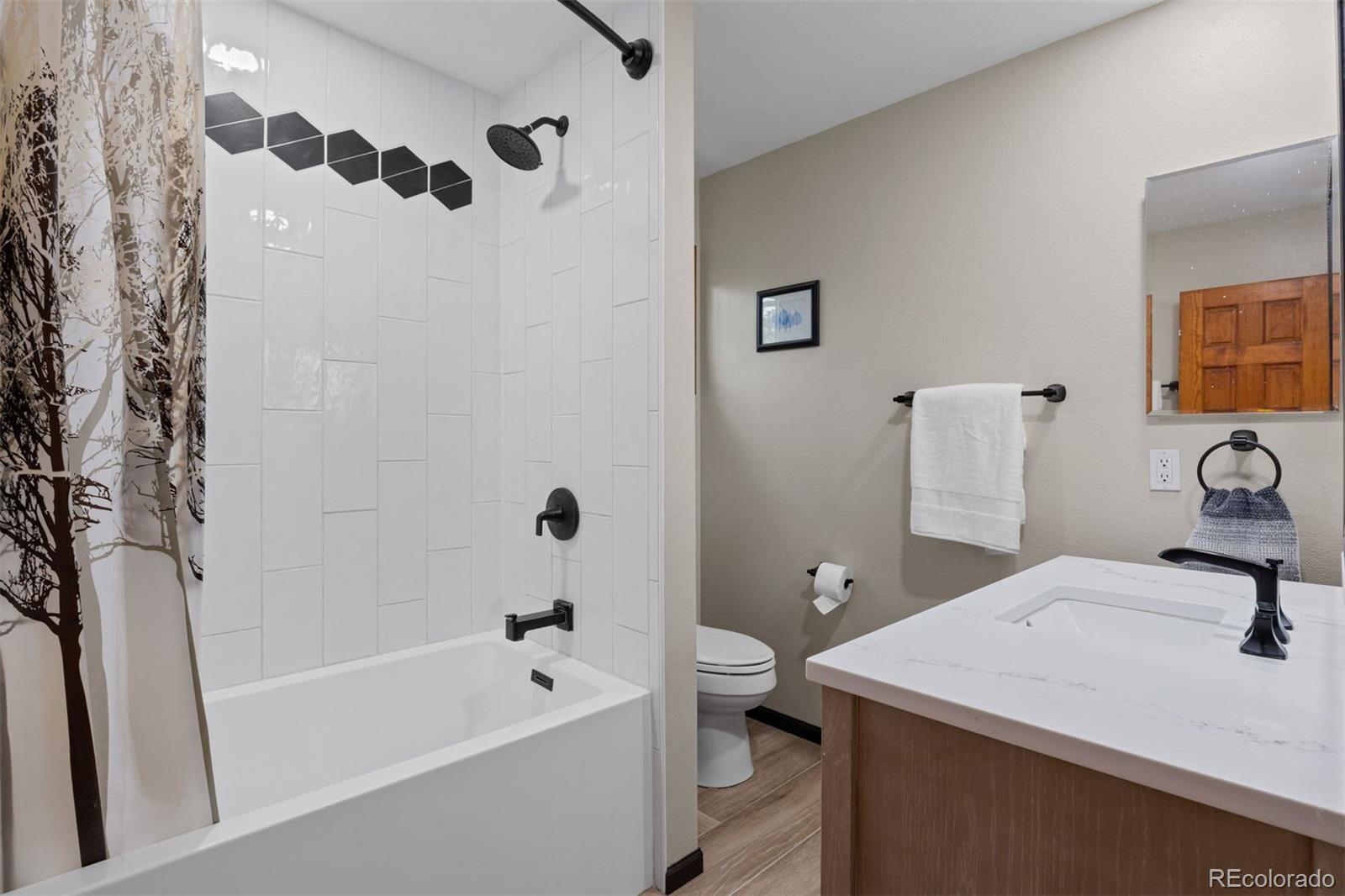 MLS Image #12 for 5811  irish pat murphy drive,parker, Colorado