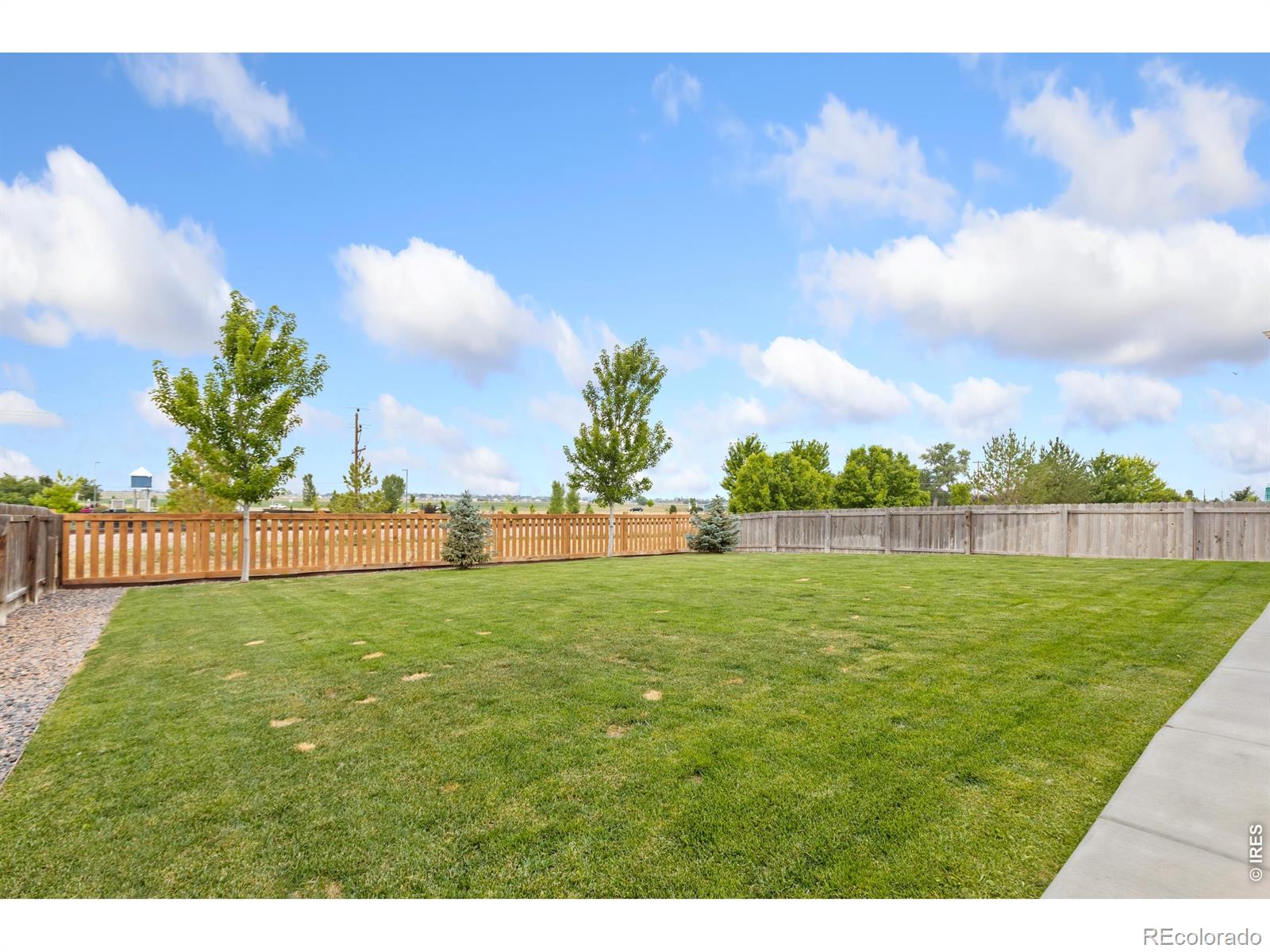 MLS Image #20 for 1534  highfield drive,windsor, Colorado