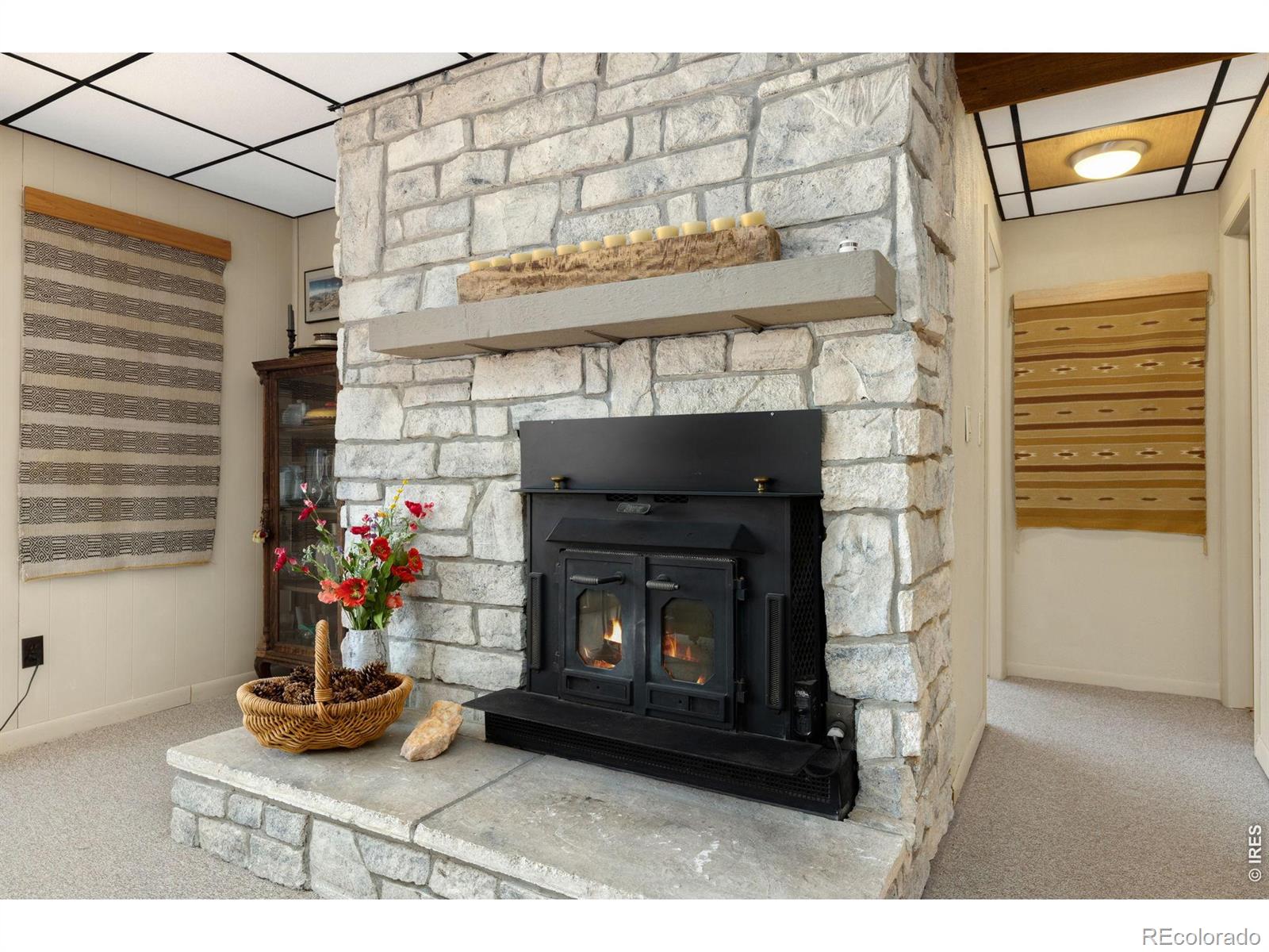 MLS Image #2 for 1511  prospect mountain drive,estes park, Colorado