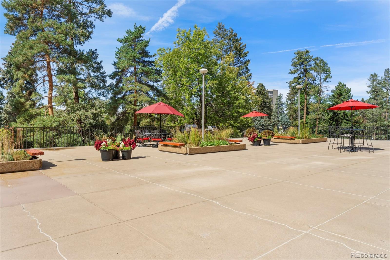 MLS Image #28 for 1111  race street,denver, Colorado