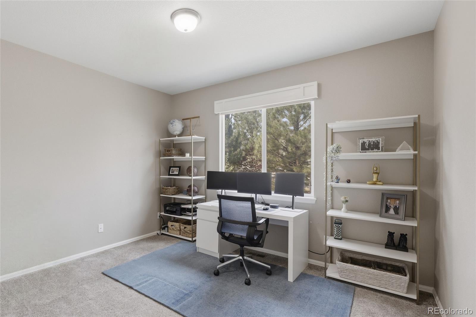 MLS Image #18 for 3955  heatherglenn lane,castle rock, Colorado