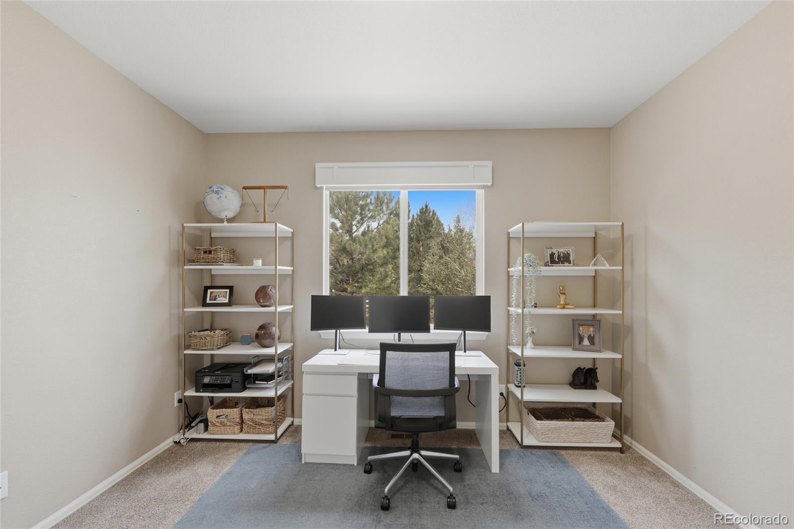 MLS Image #19 for 3955  heatherglenn lane,castle rock, Colorado