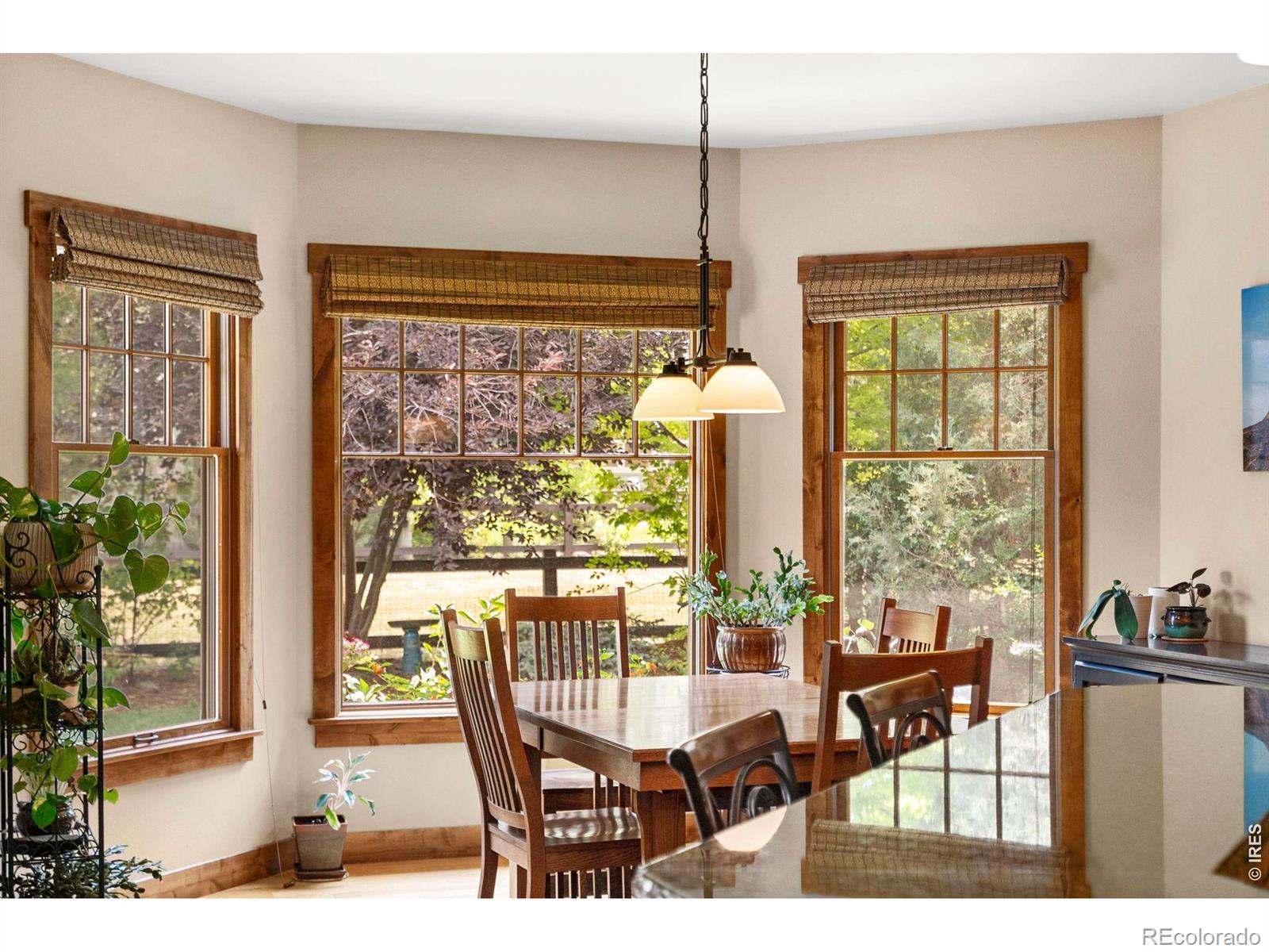MLS Image #15 for 6854  pumpkin ridge drive,windsor, Colorado