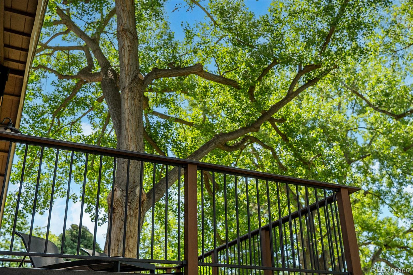 MLS Image #41 for 2434  park lane,littleton, Colorado