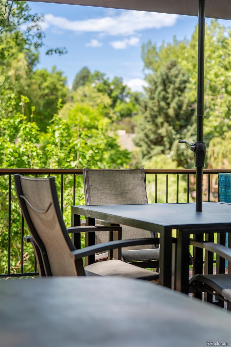 MLS Image #44 for 2434  park lane,littleton, Colorado